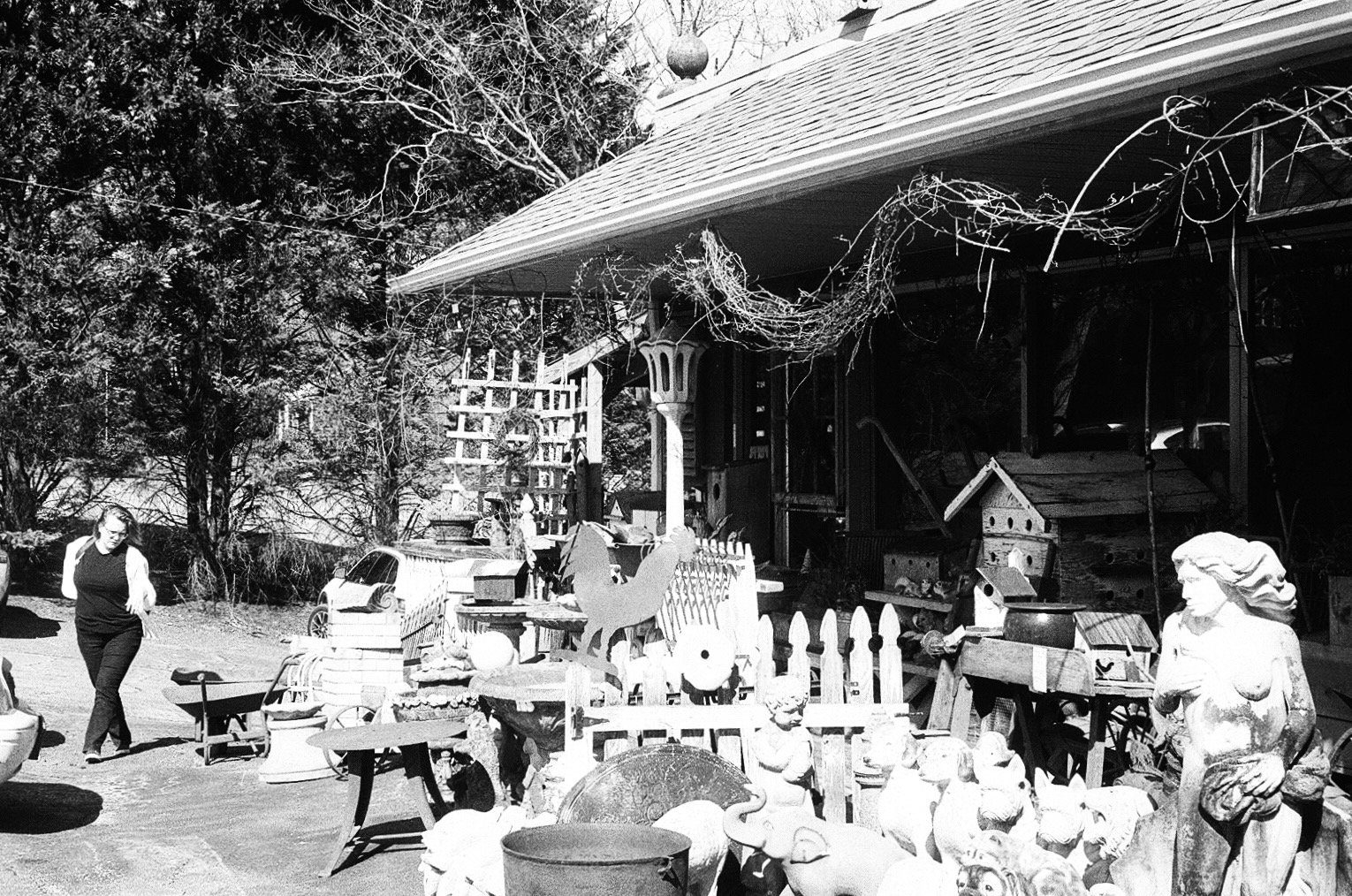 Library - 7 of 16.jpeg