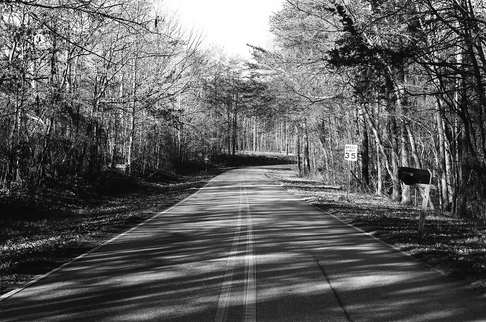 Keepers - 48 of 886.jpeg