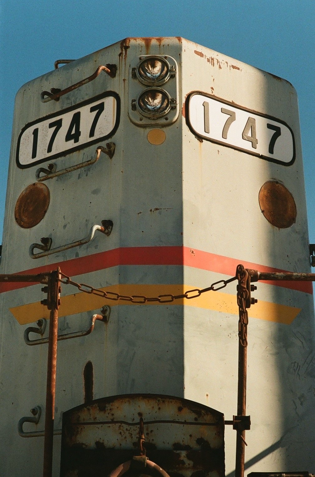 Library - 11 of 19.jpeg