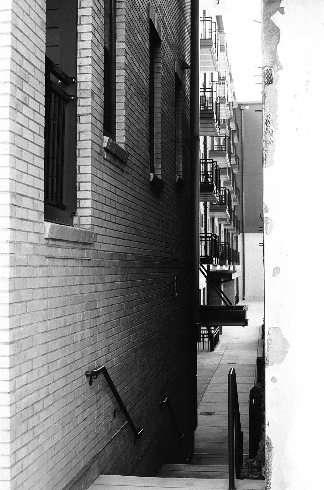 Portfolio - 13 of 150.jpeg