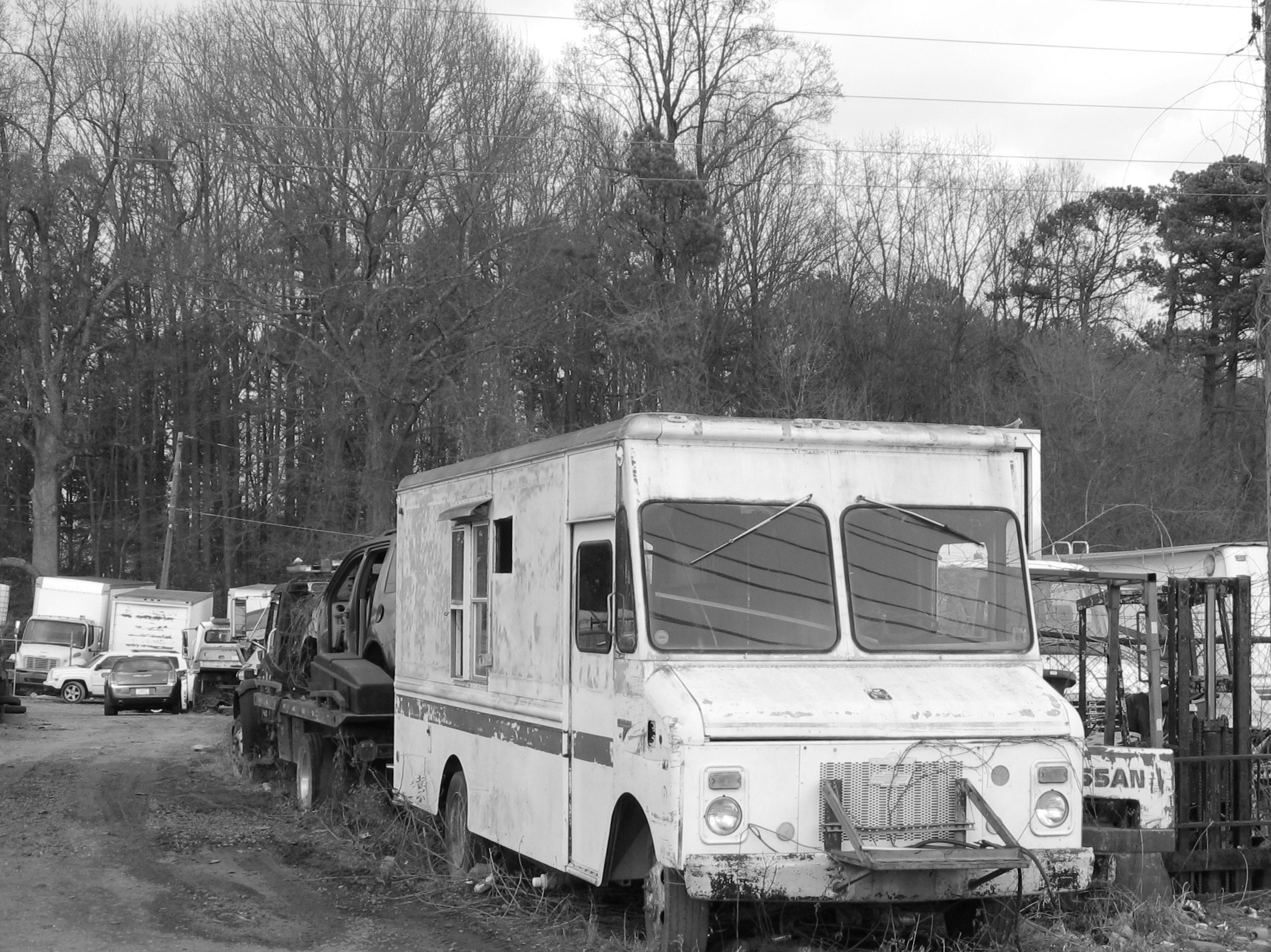 Library - 15 of 16.jpeg