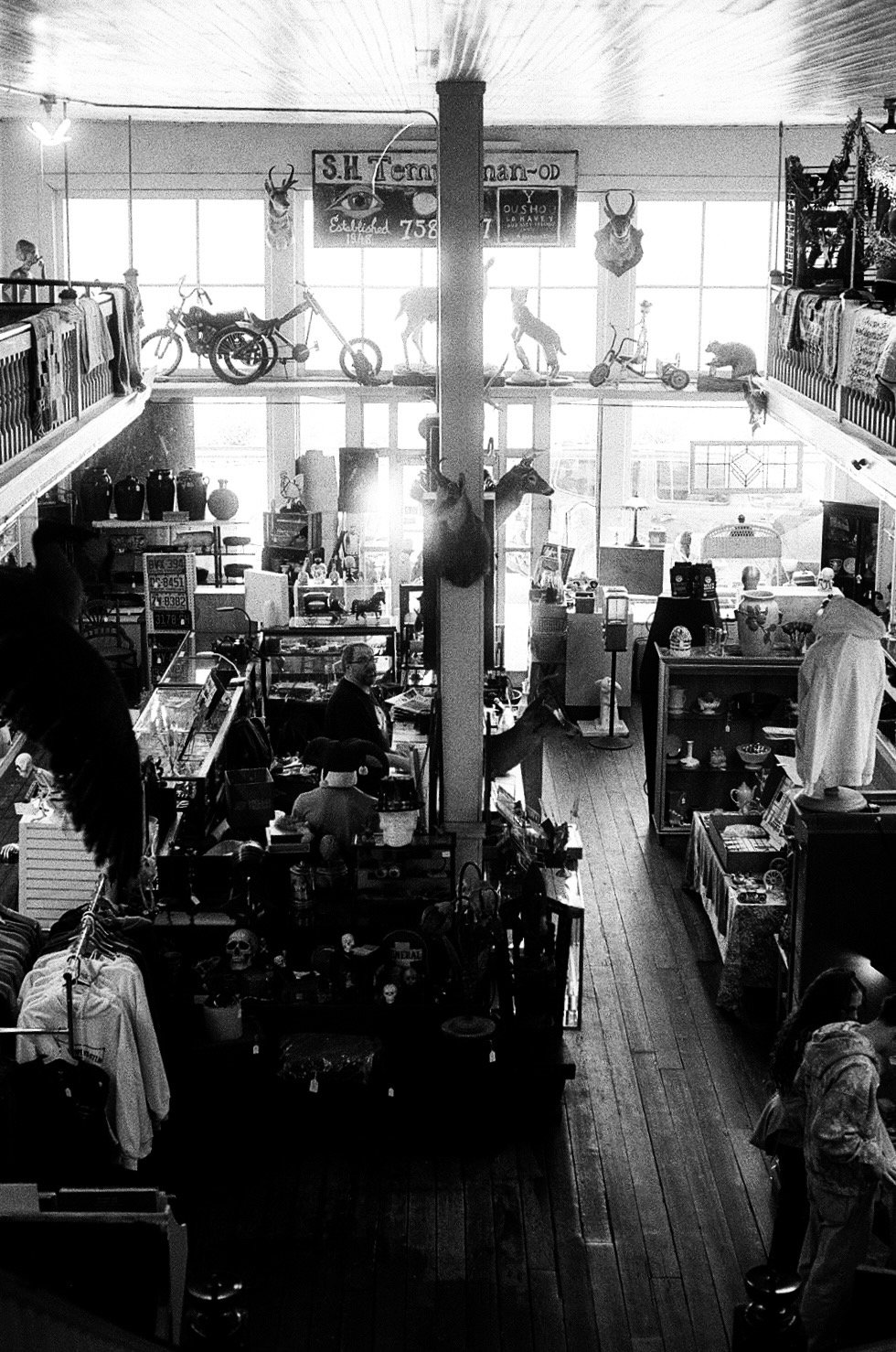 Library - 12 of 16.jpeg