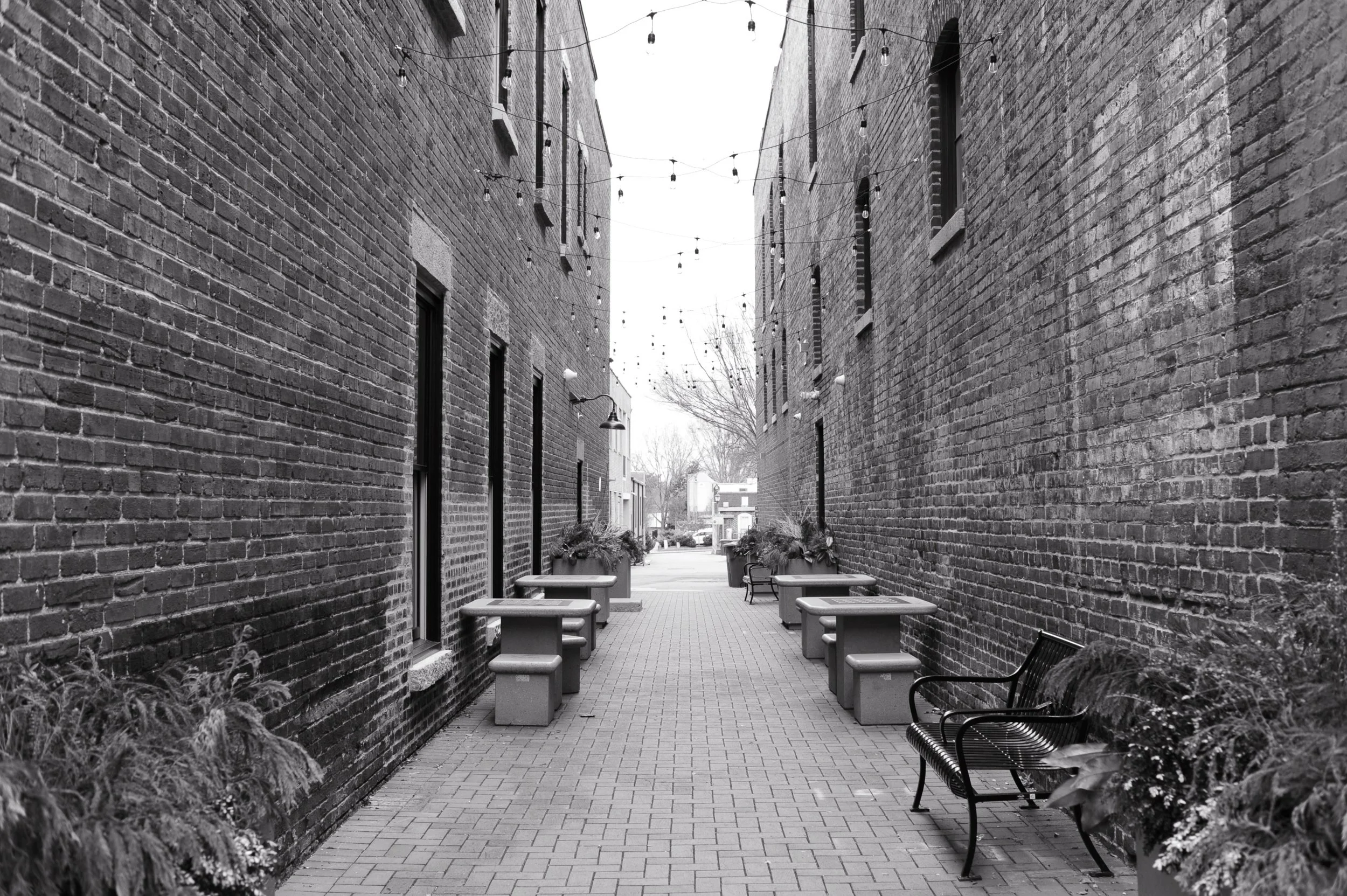 Keepers - 15 of 886.jpeg