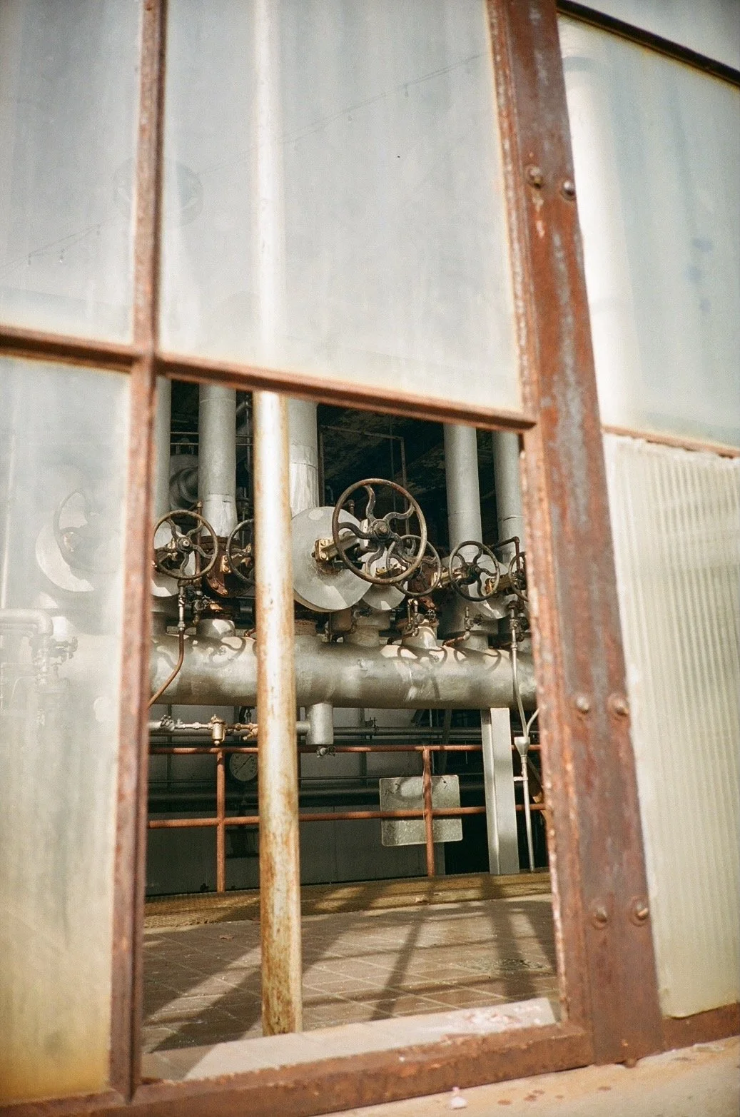 Library - 17 of 19.jpeg