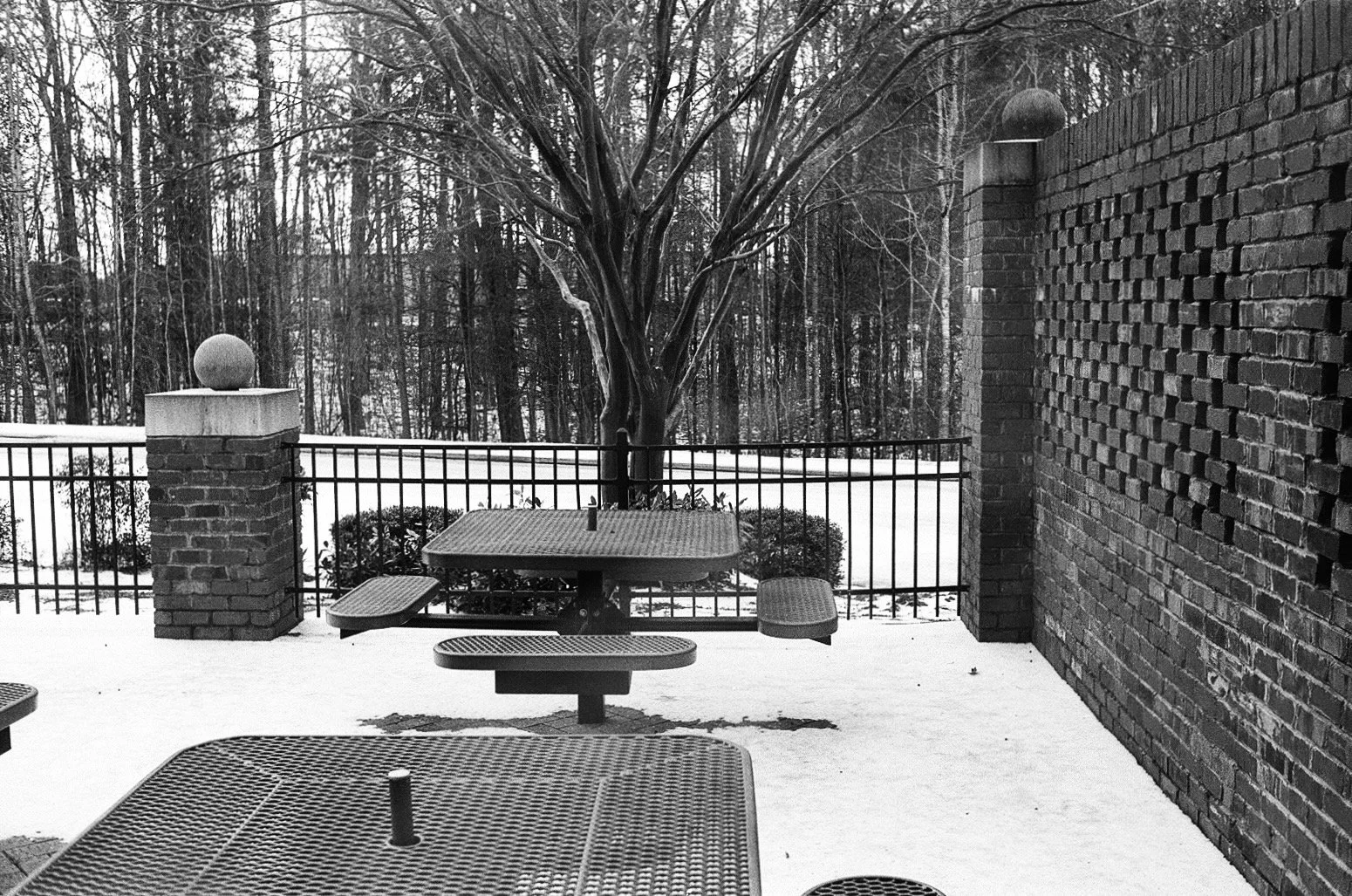 Library - 2 of 16.jpeg