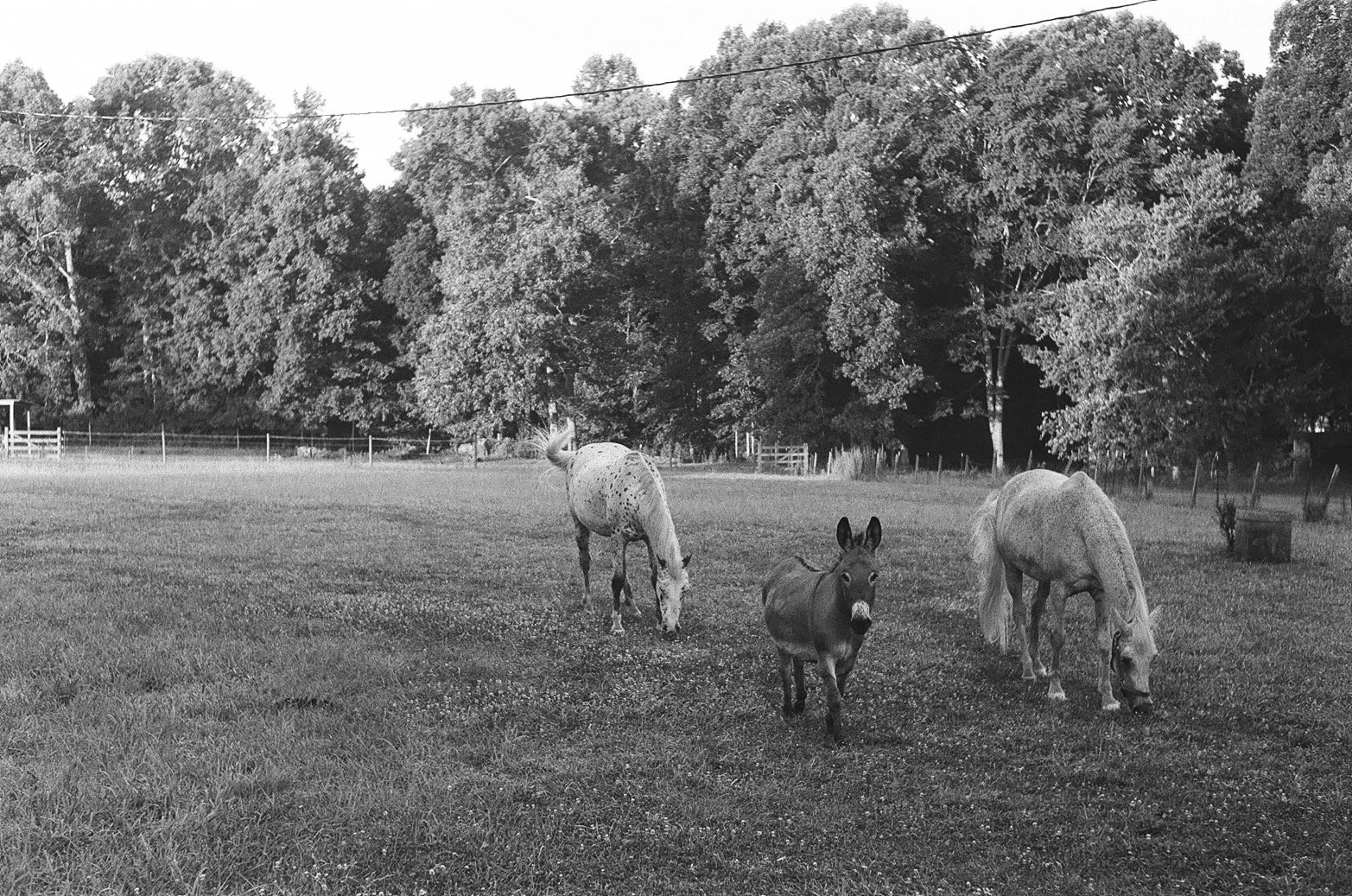 Portfolio - 96 of 150.jpeg