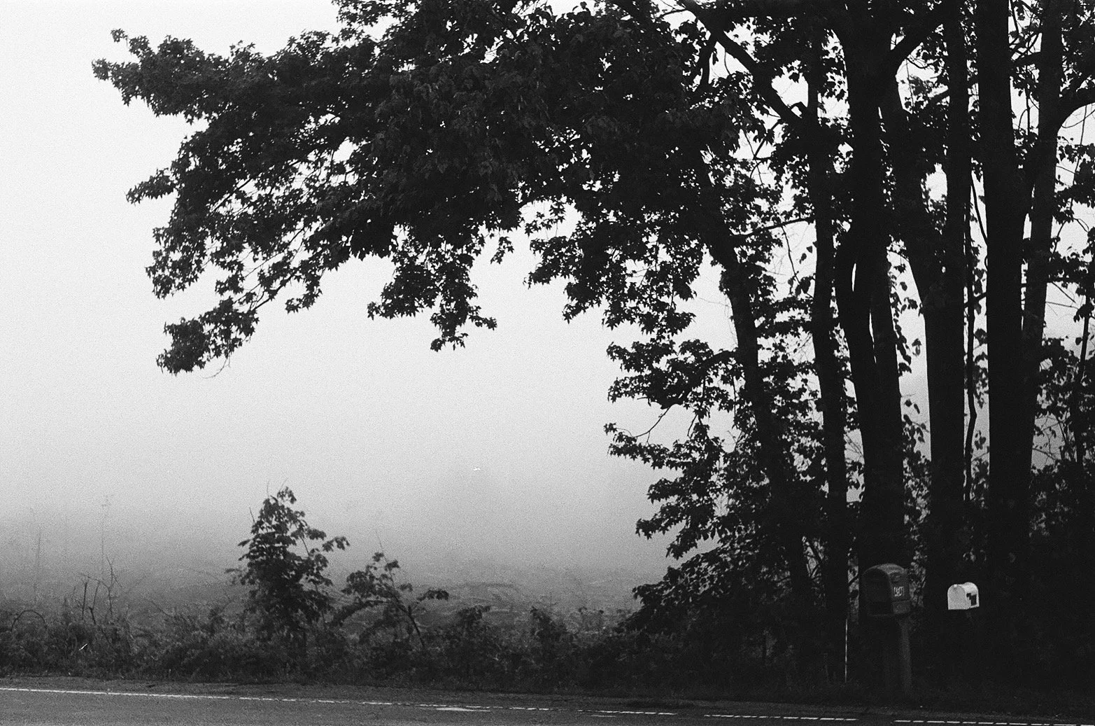 Portfolio - 116 of 150.jpeg