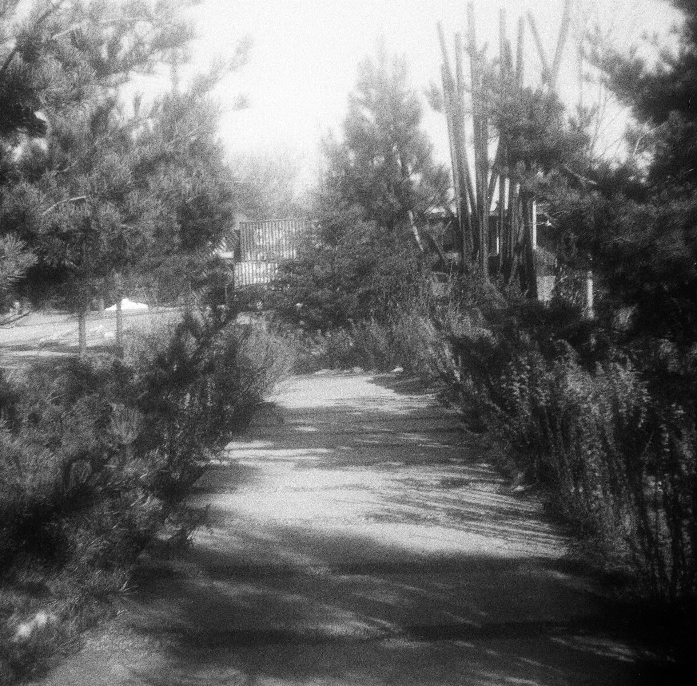 Library - 2 of 6.jpeg