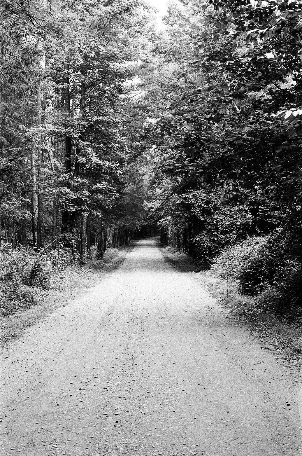 Portfolio - 112 of 150.jpeg