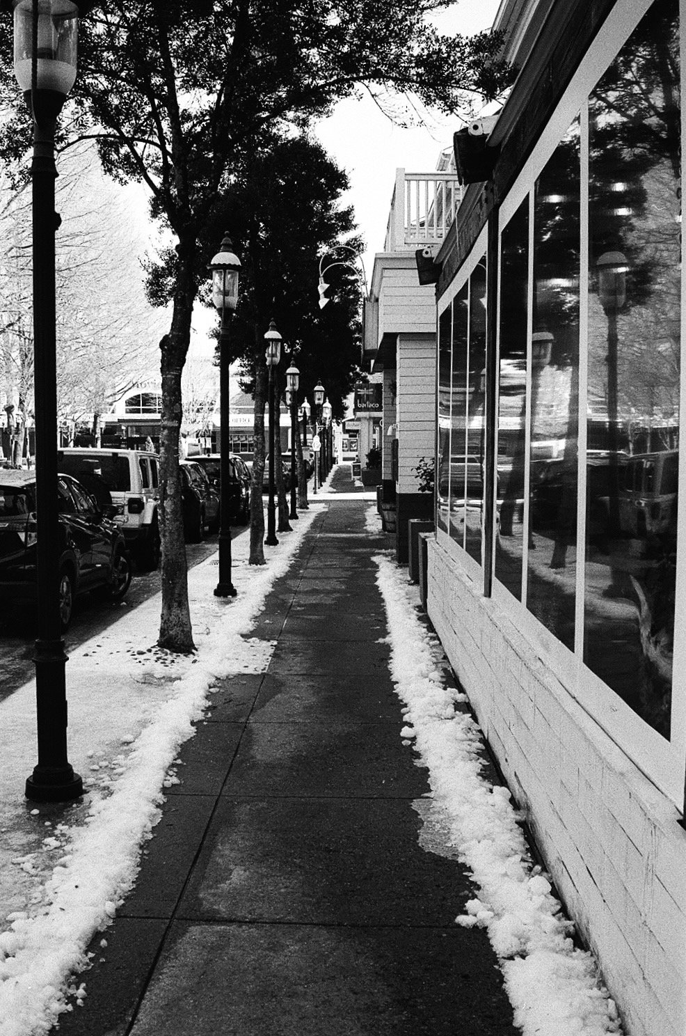 Library - 3 of 16.jpeg