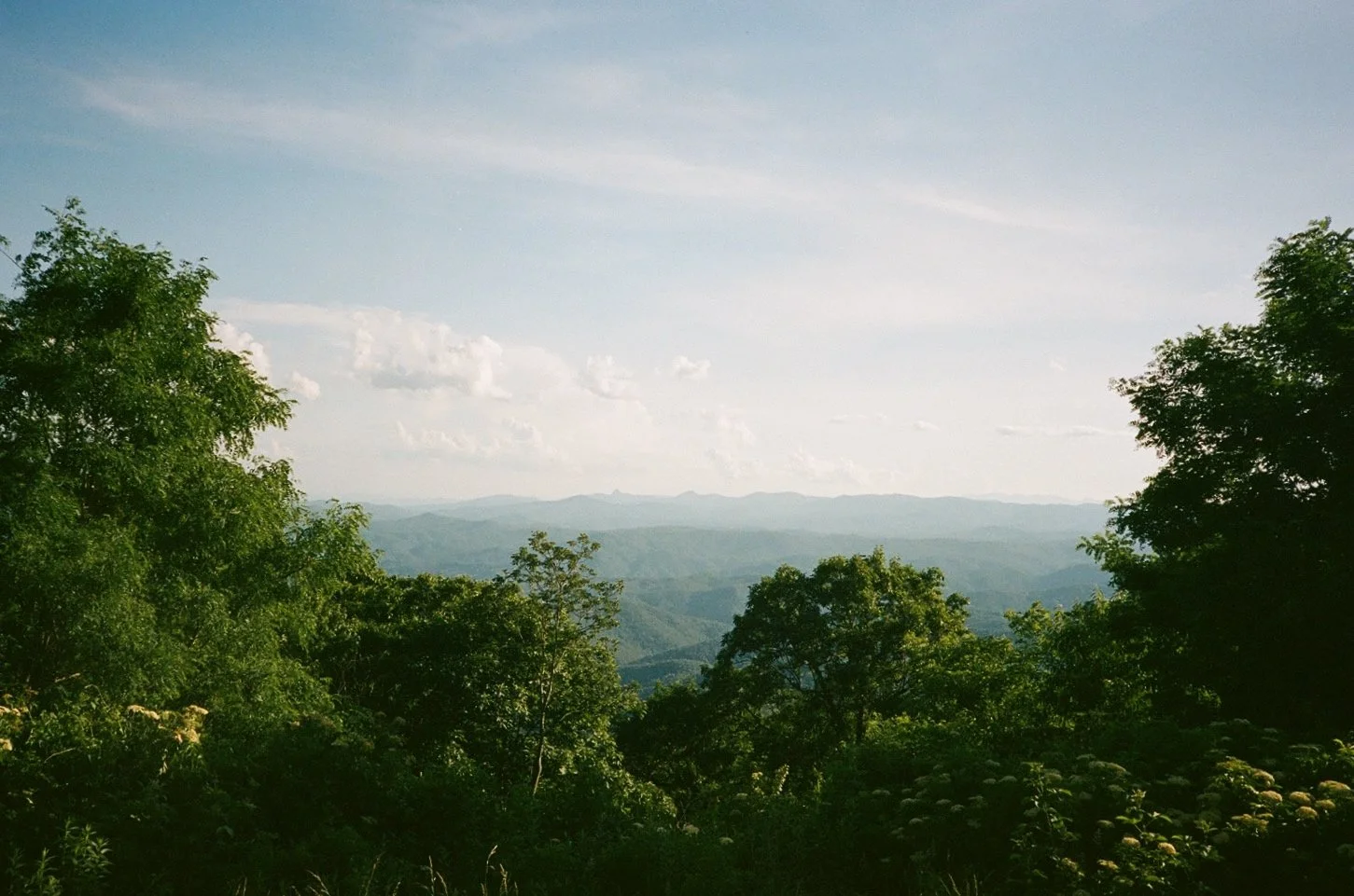 IMG_4004.jpeg
