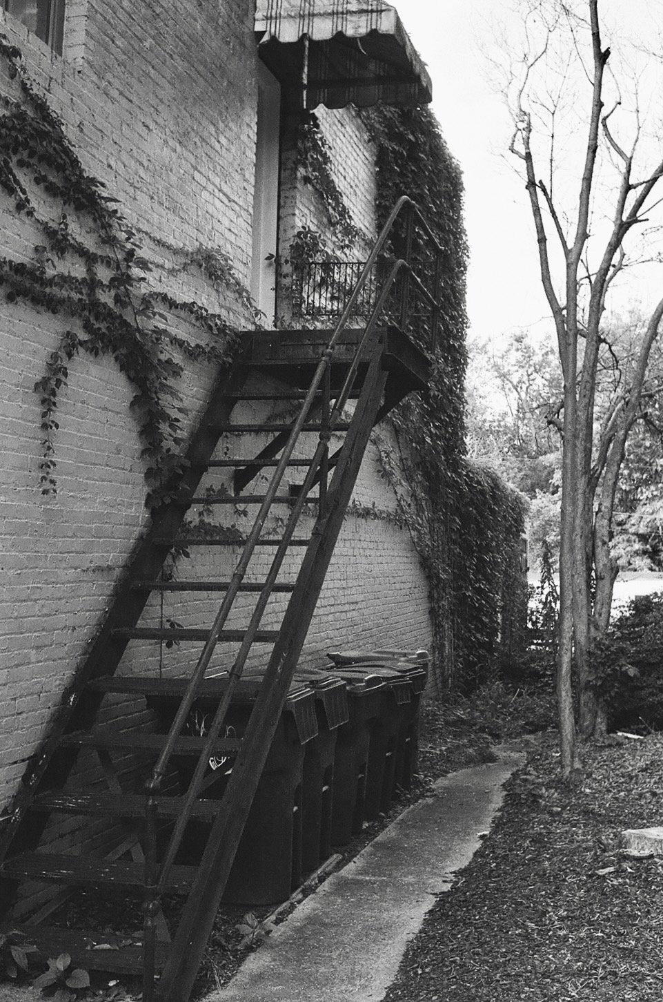 Portfolio - 101 of 150.jpeg