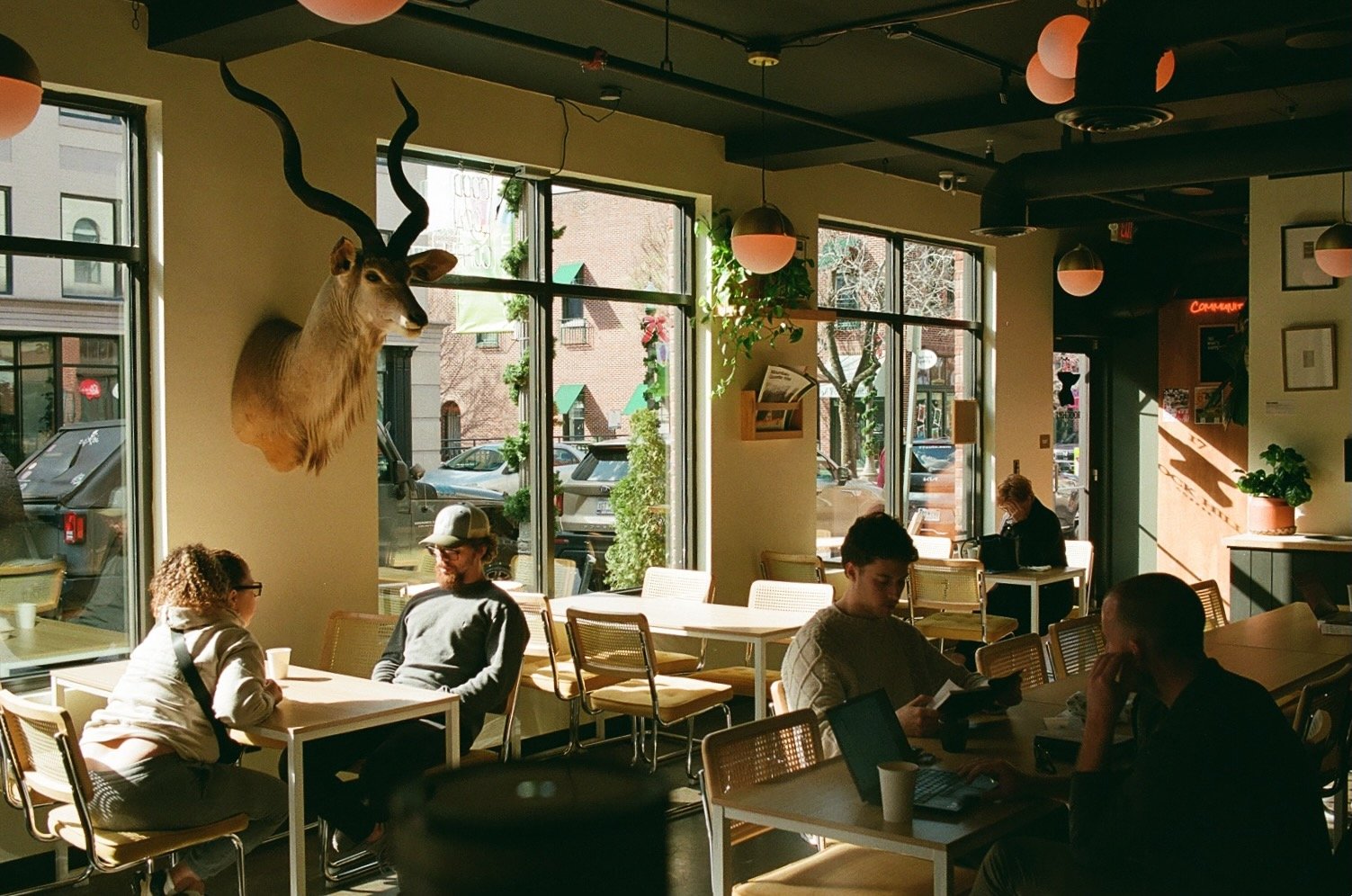 Portfolio - 9 of 143.jpeg