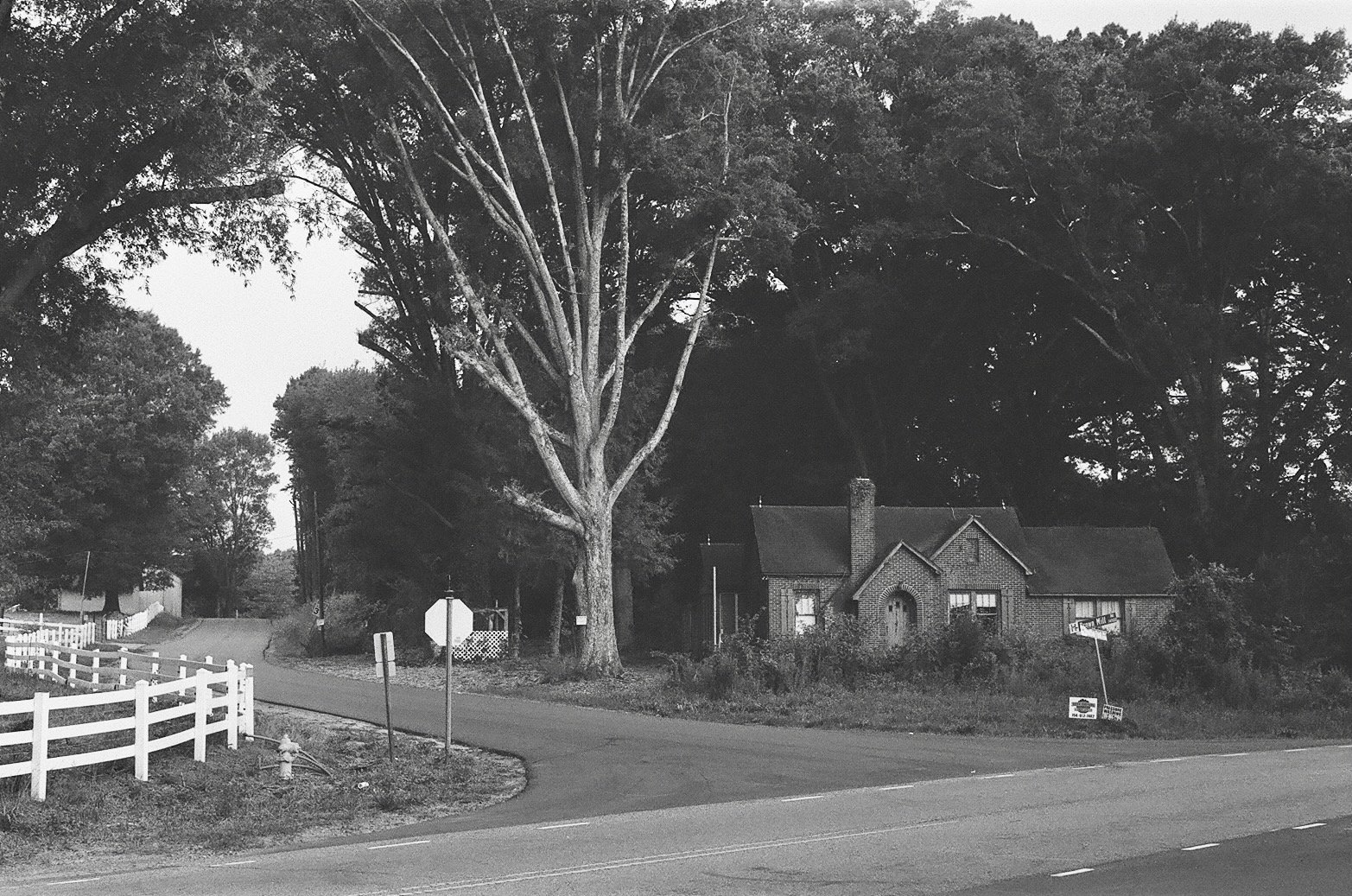 Portfolio - 99 of 150.jpeg