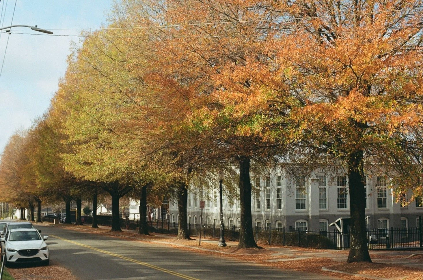 Portfolio - 48 of 150.jpeg