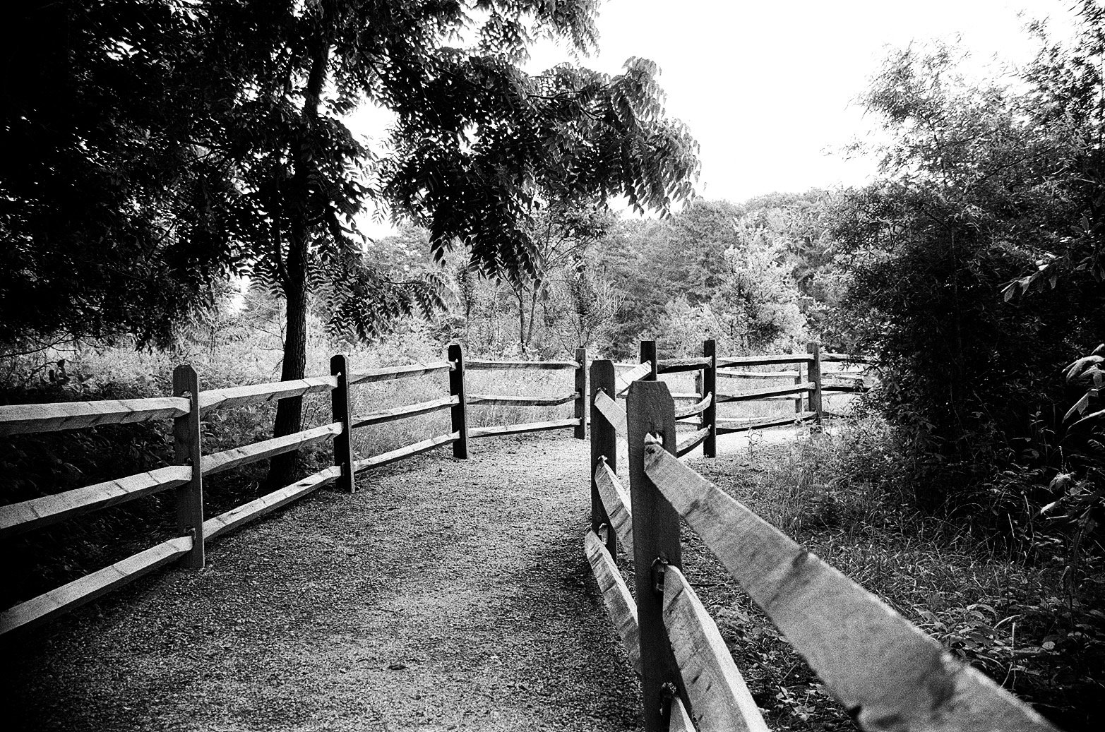 Portfolio - 108 of 150.jpeg