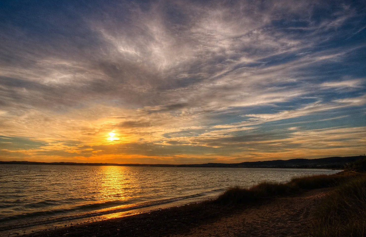 Screenshot 2026-03-12 at 2.52.46 PM.png