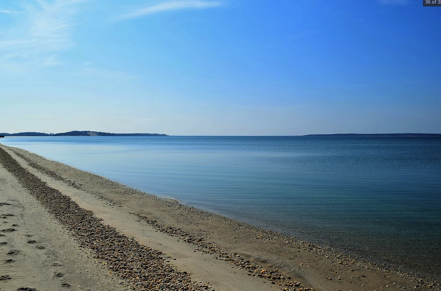 Screenshot 2026-03-12 at 2.52.42 PM.png