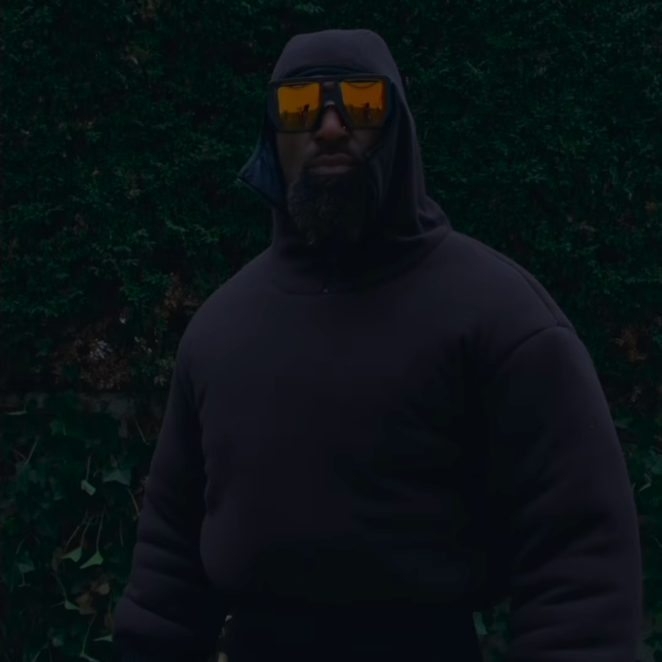 Artist Olivier St Louis