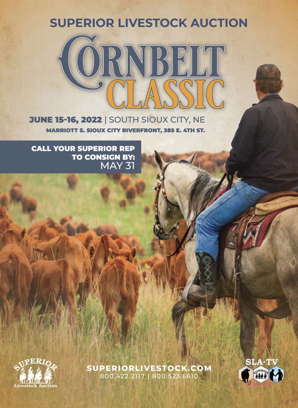 Screen Shot 2026-01-06 at 8.18.22 PM.png