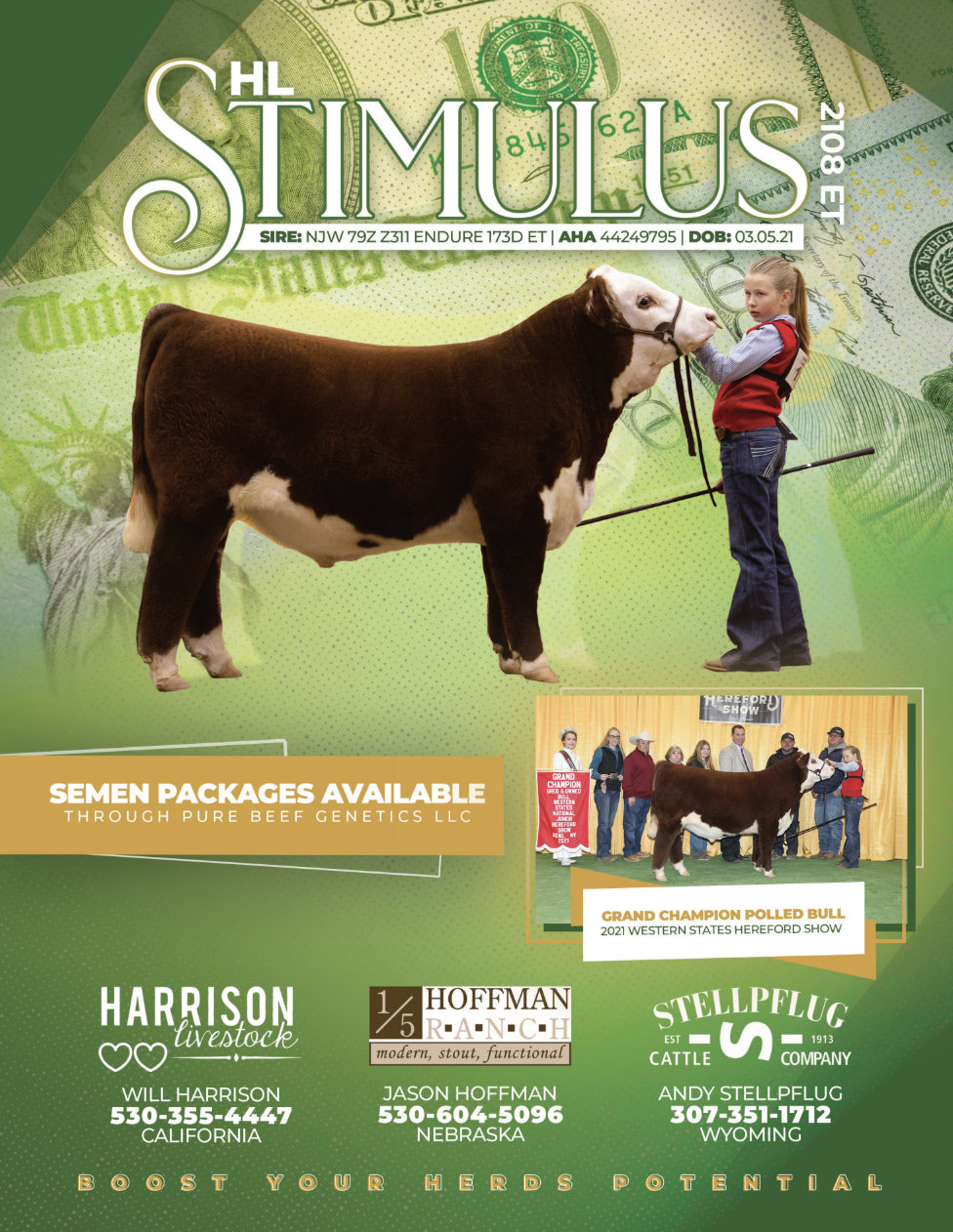 Screen Shot 2026-01-06 at 8.17.57 PM.png