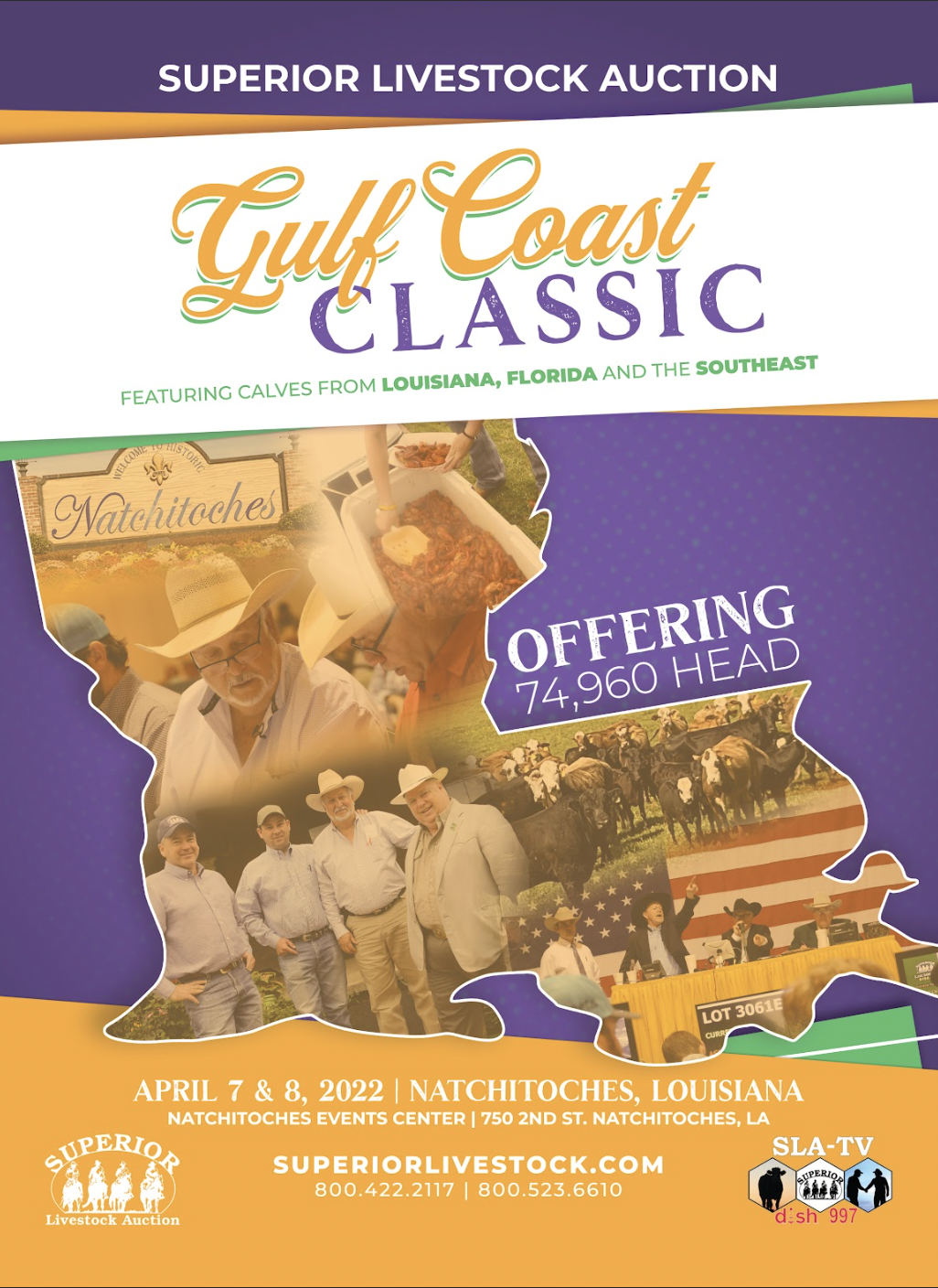 Screen Shot 2026-01-06 at 8.18.09 PM.png