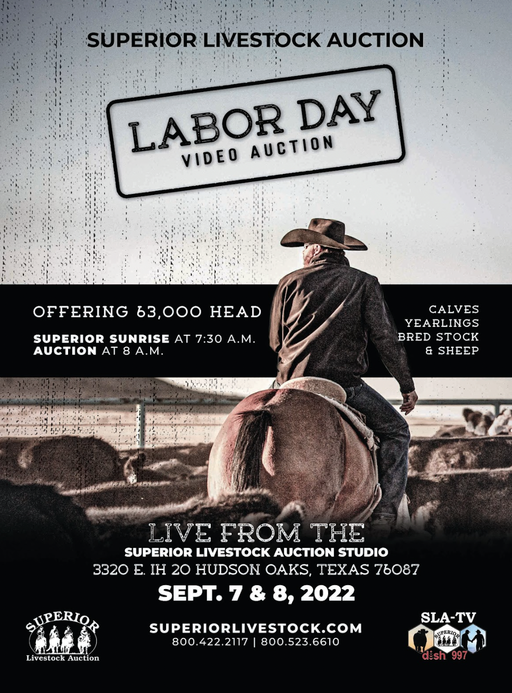 Screen Shot 2026-01-06 at 8.18.52 PM.png