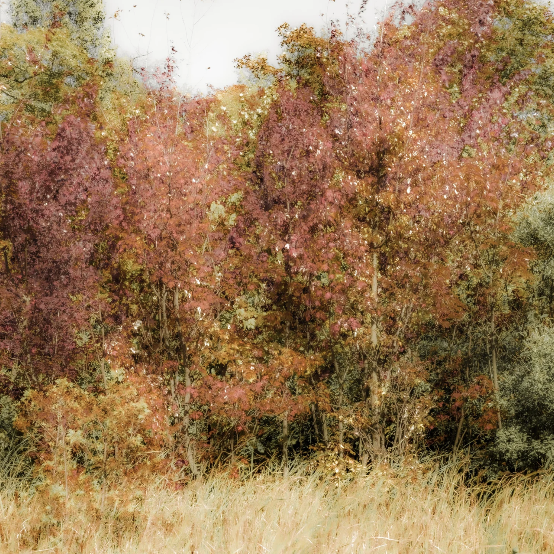 Screenshot 2026-01-09 at 10.16.03 PM.png