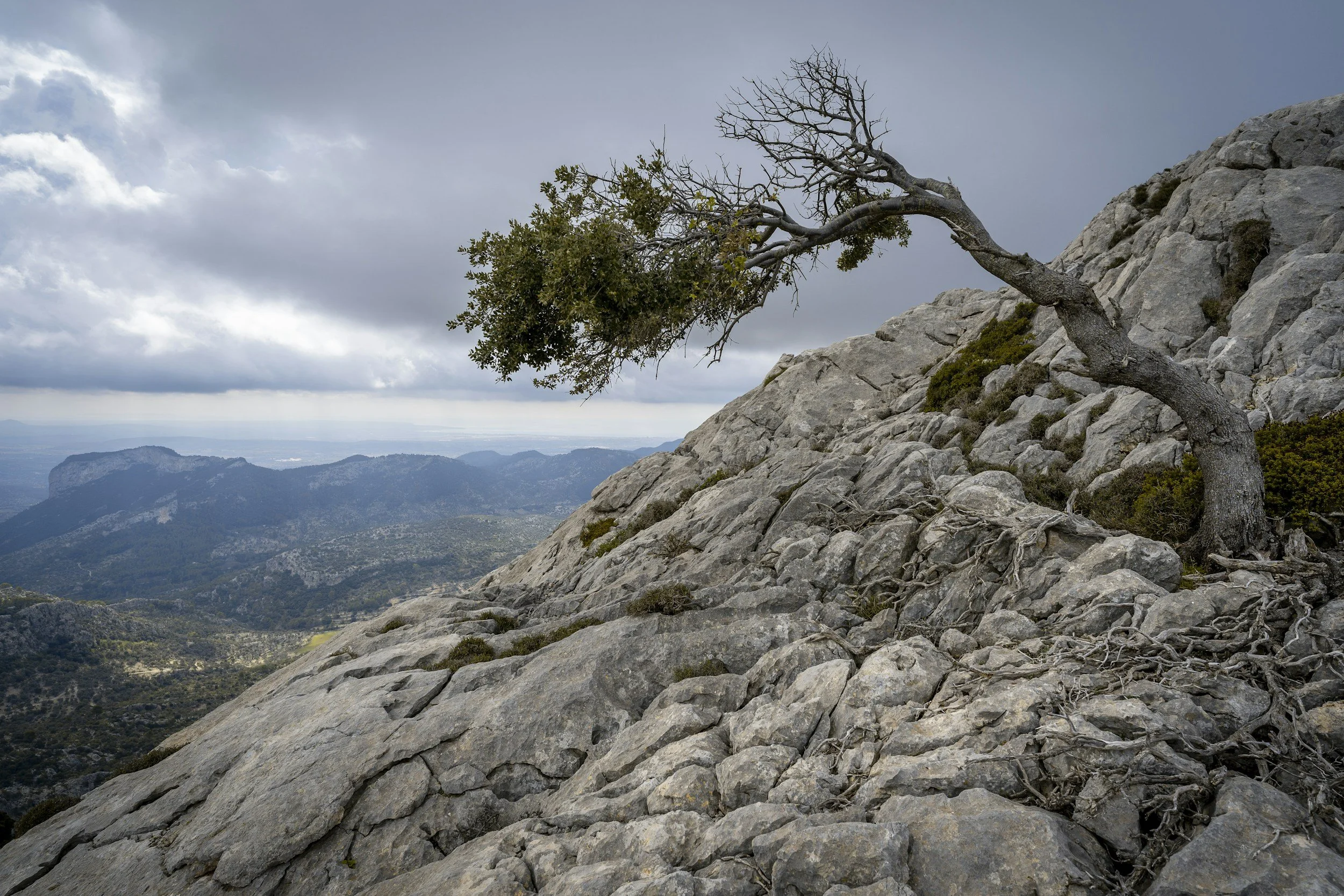 Adult #7 – Being Resilient – Remaining Faithful Through Life’s Seasons