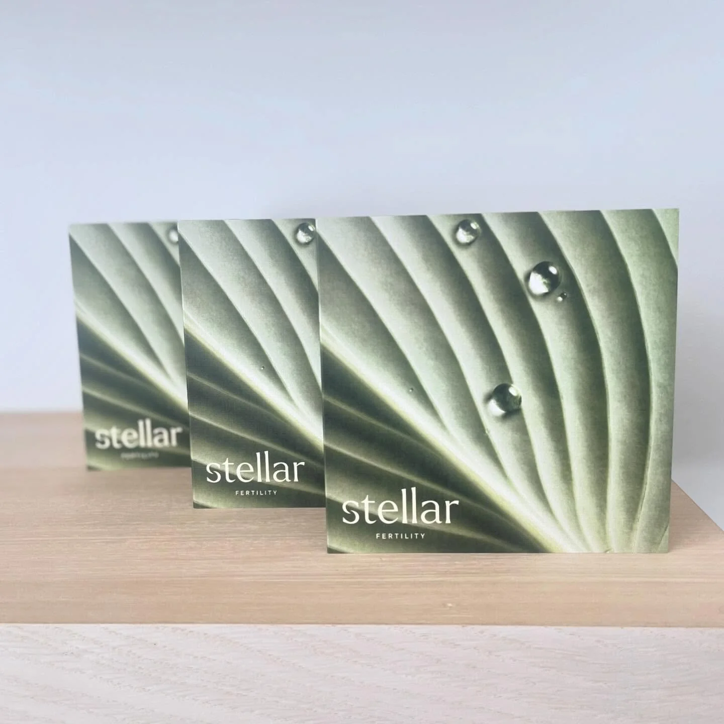 We&rsquo;re loving watching our new branding finally come to life 🌱