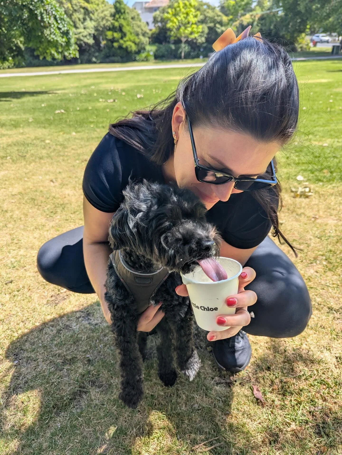 How was your weekend? The Stellar team had a weekend full of time in nature and with family, including Gerty &amp; Bruiser&rsquo;s first time camping 🐶🏕️🏖️🌿