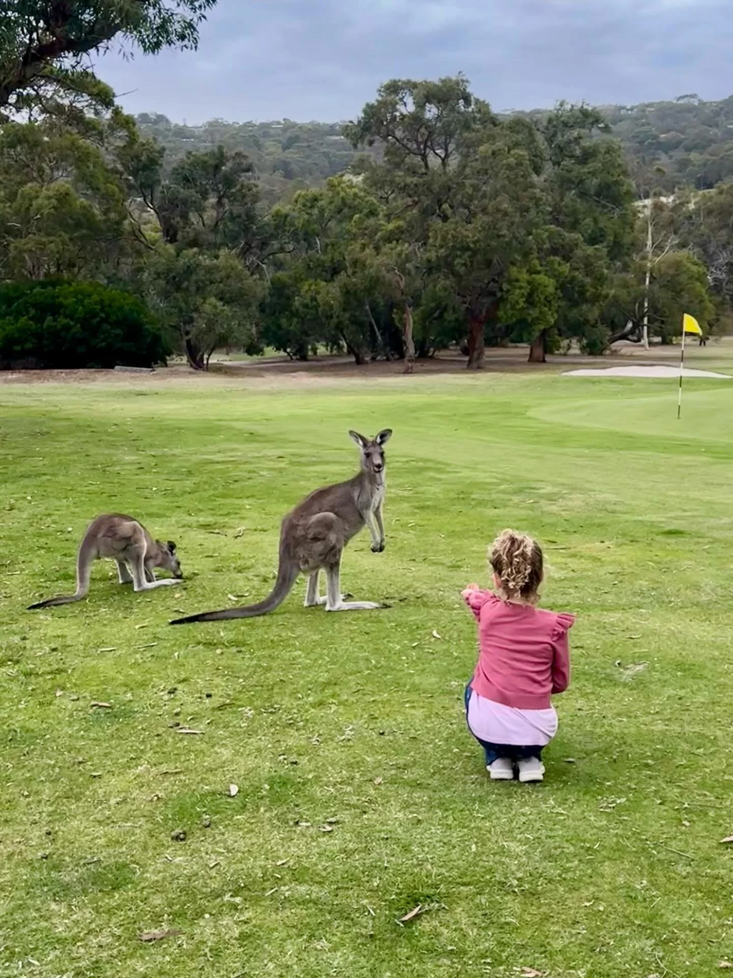 Another Stellar weekend for the team!