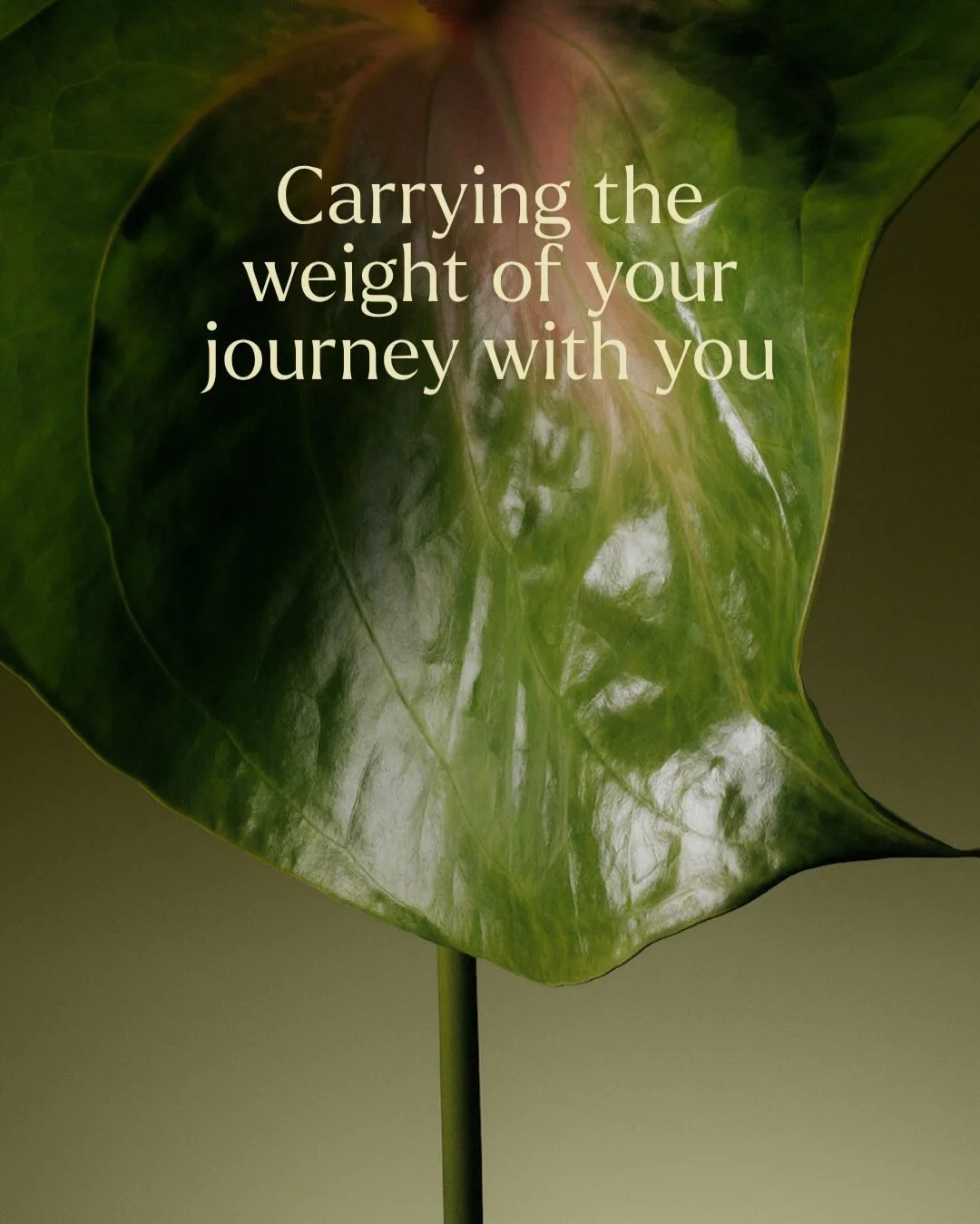 Some journeys carry more than we expect.

At Stellar Fertility, we recognise the emotional, physical, and mental weight that can come with navigating your fertility journey. That&rsquo;s why we meet you exactly where you are&mdash;with care that is d