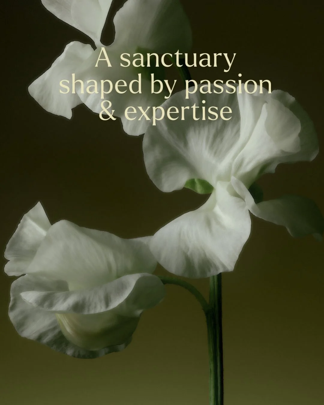 A space to exhale. A place to feel held. 

At Stellar Fertility, we&rsquo;ve created a sanctuary where clinical expertise and compassionate care exist side by side. Every detail of our environment is thoughtfully designed to support not just your tre