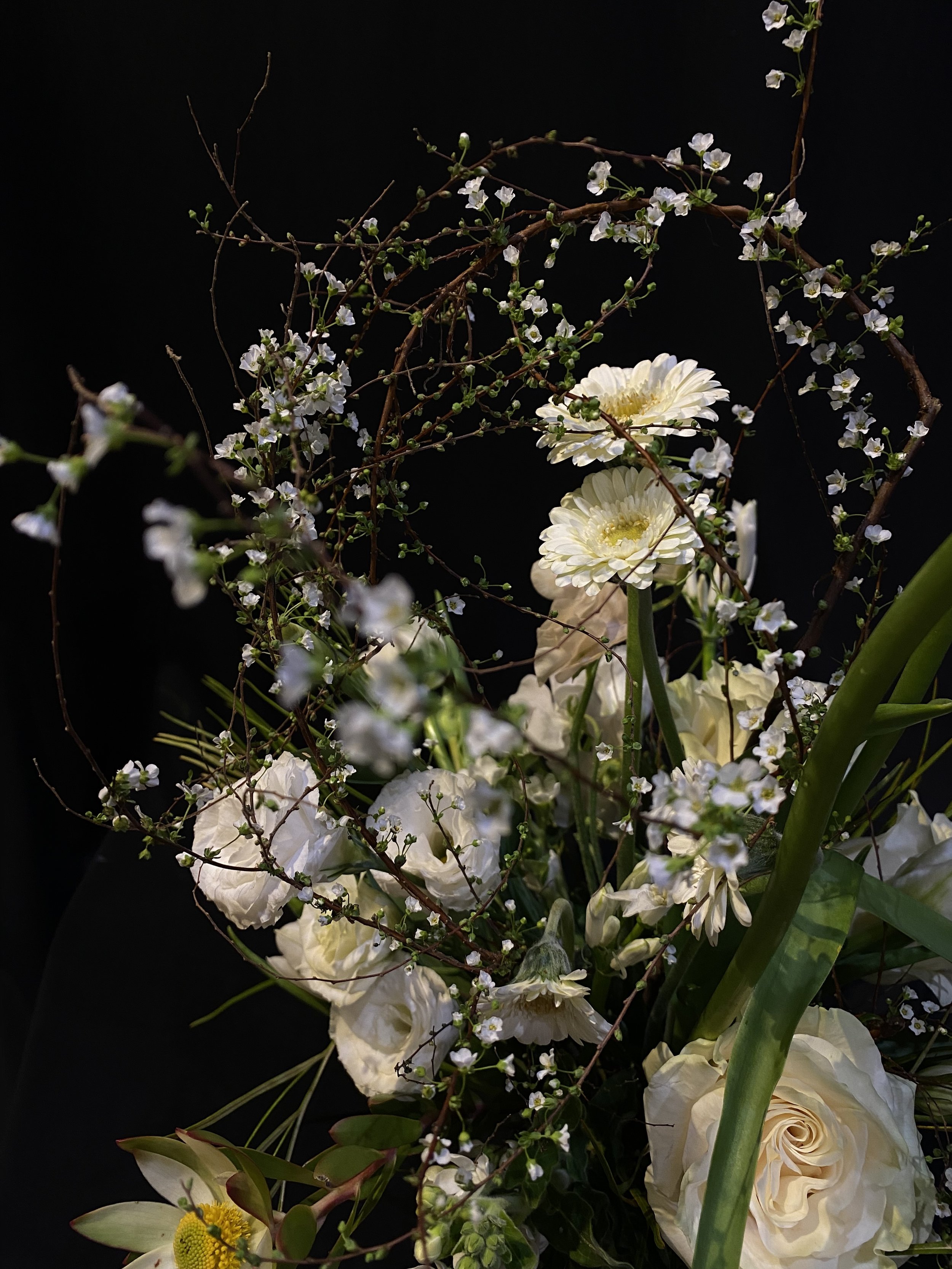 Soft tones - Wild touch