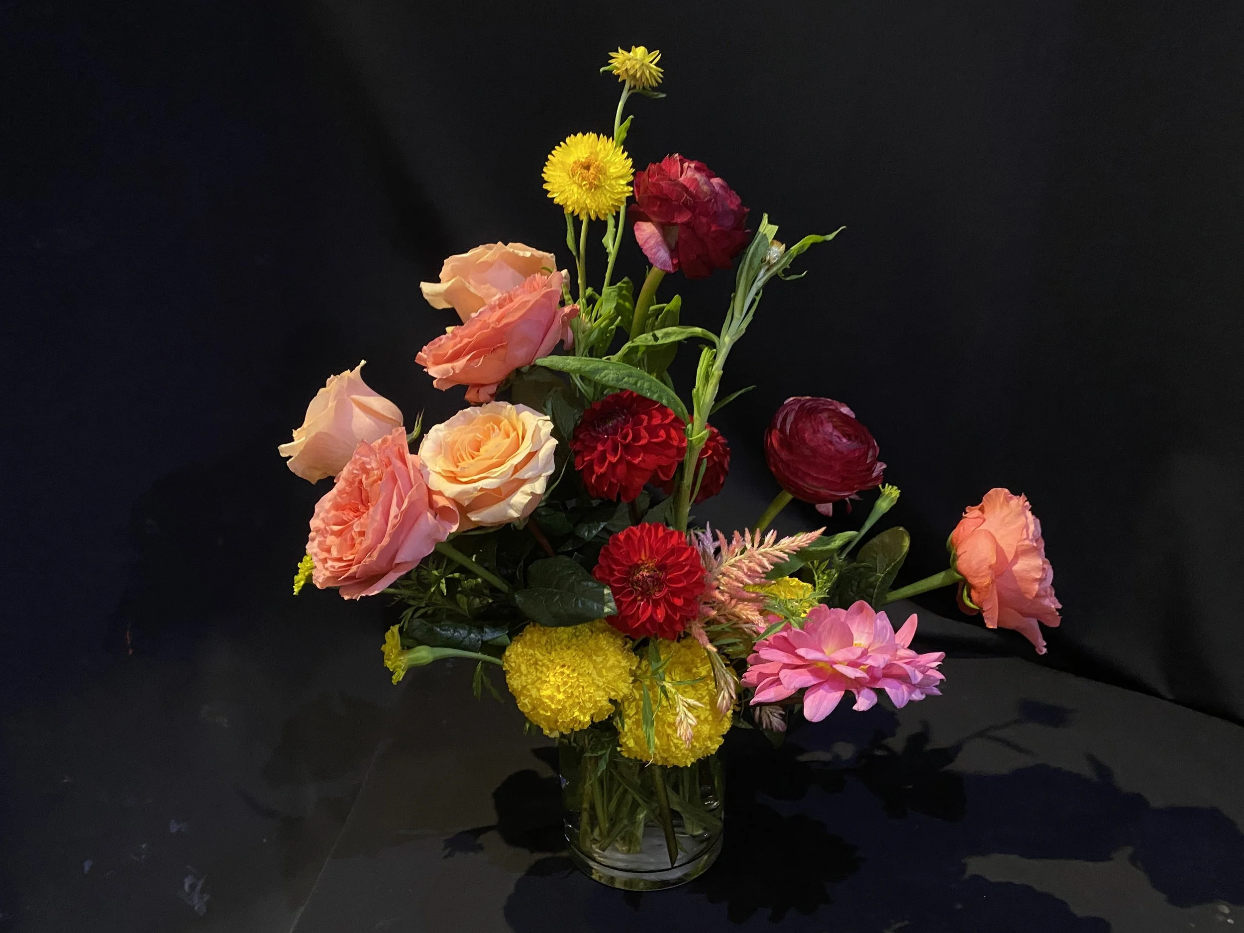 IMG_Vivid Full3.jpeg