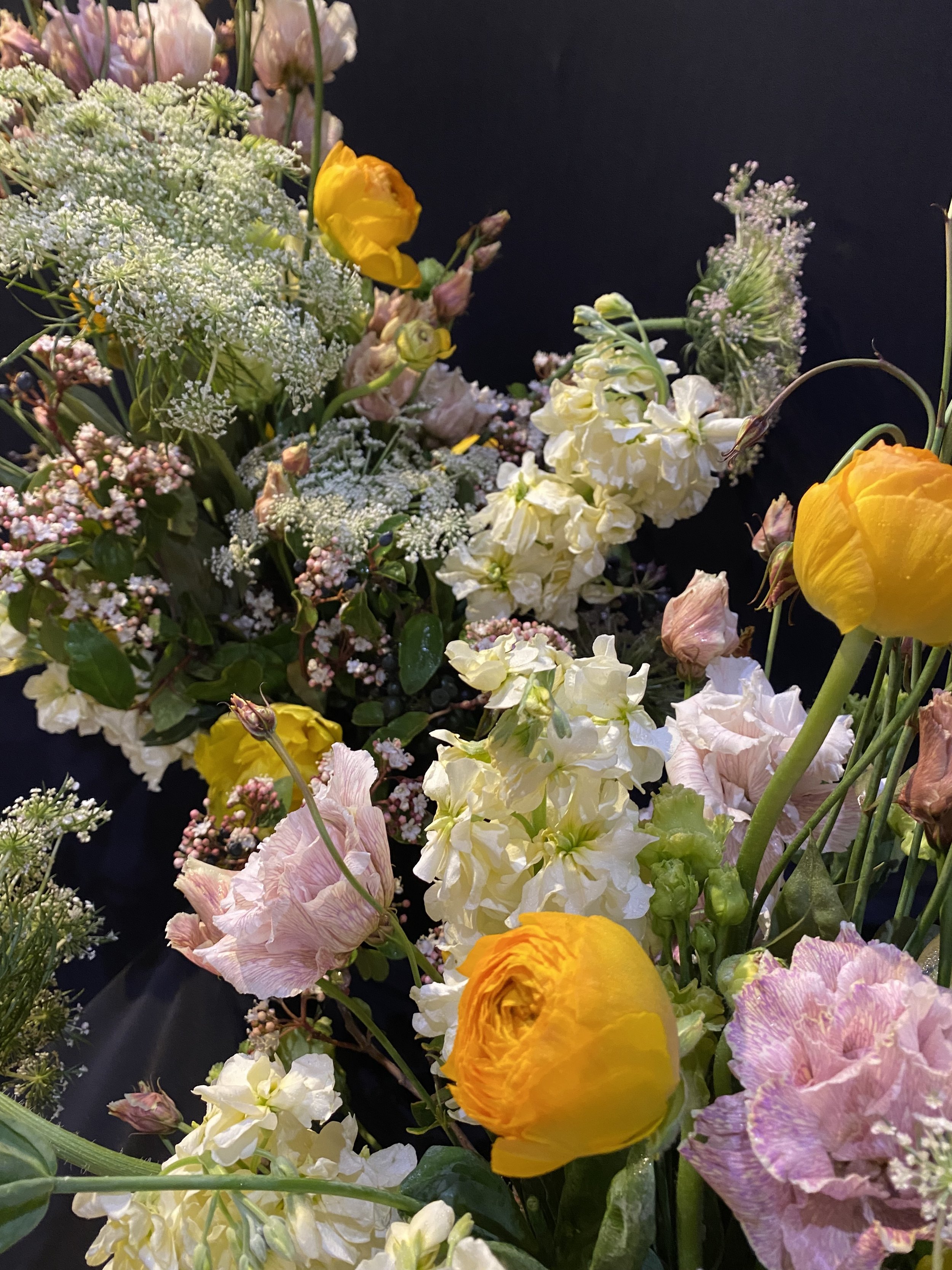 Vivid tones - Wild touch