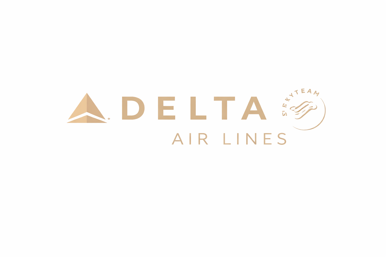 Delta Air Lines logo with a stylized triangle aircraft silhouette and the SkyTeam logo in beige on a white background.