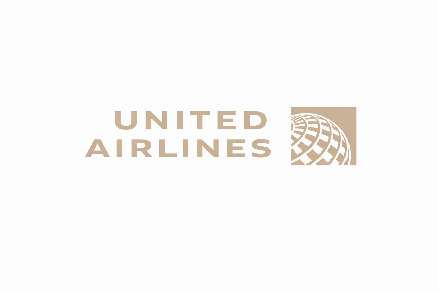 United Airlines logo with beige text and a globe emblem on a white background.