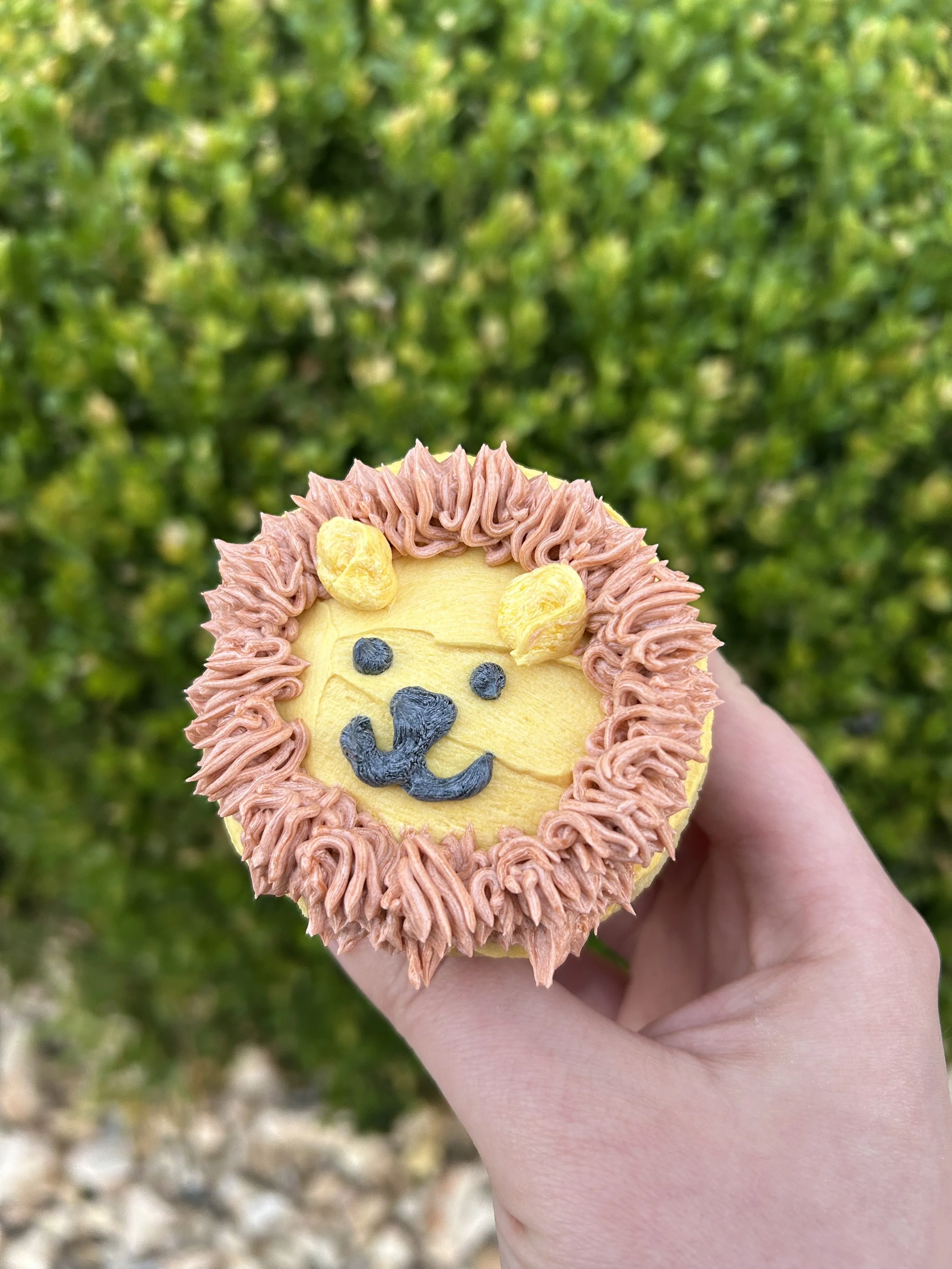 custom lion decorated cupcakes 