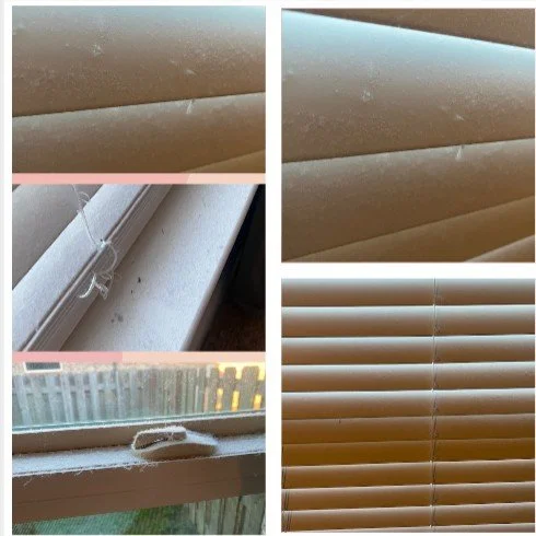 Detailed Deep Clean