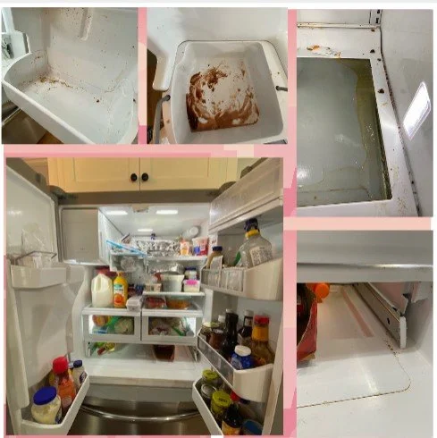 Fridge Before.jpg