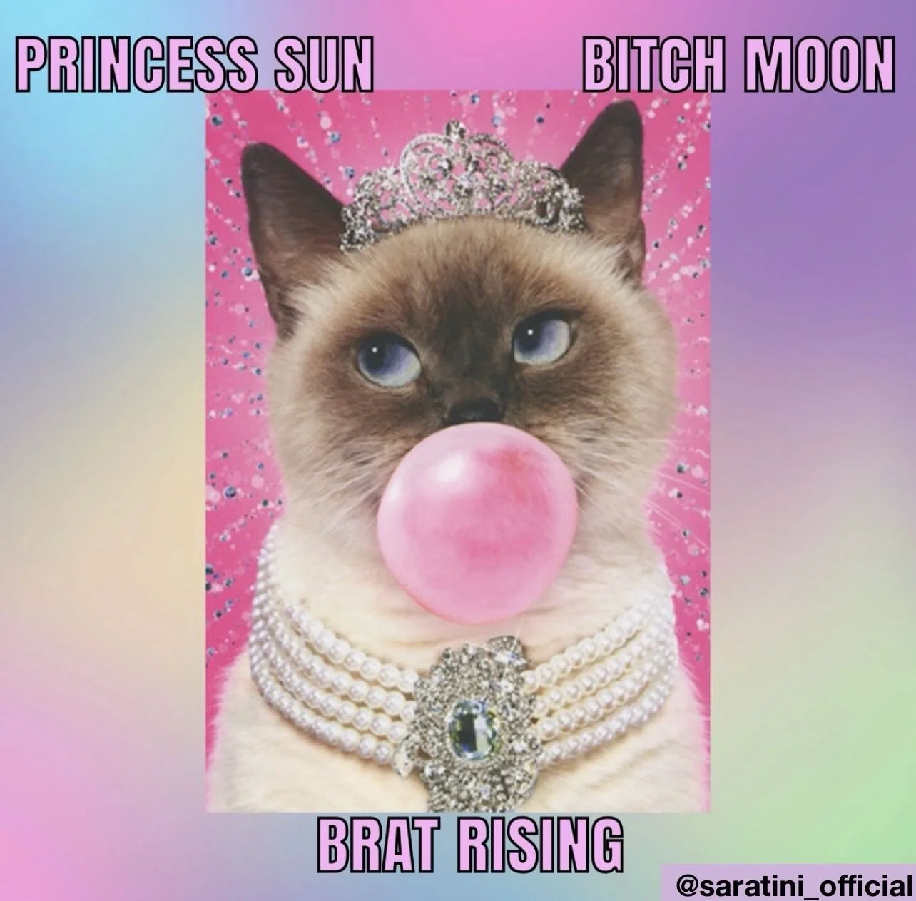 Hey girl what&rsquo;s your sign? Though these three may not be official zodiac signs that doesn&rsquo;t mean they&rsquo;re wrong 😘#zodiac #saratini #explore #fypage #womeninspiringwomen