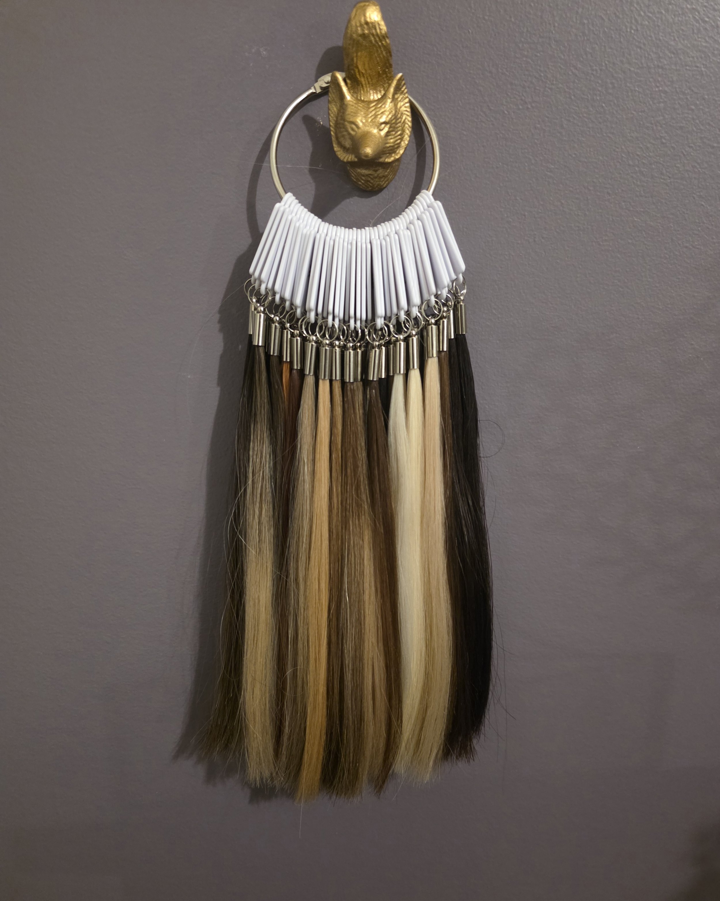 Nano hair extensions, nanolink hair extensions, microlink hair extensions, fusion hair extensions, itip hair extensions, hair extensions lethbridge, lethbridge hair salon, lethbridge hair extensions. Hair extension colours, colour ring.