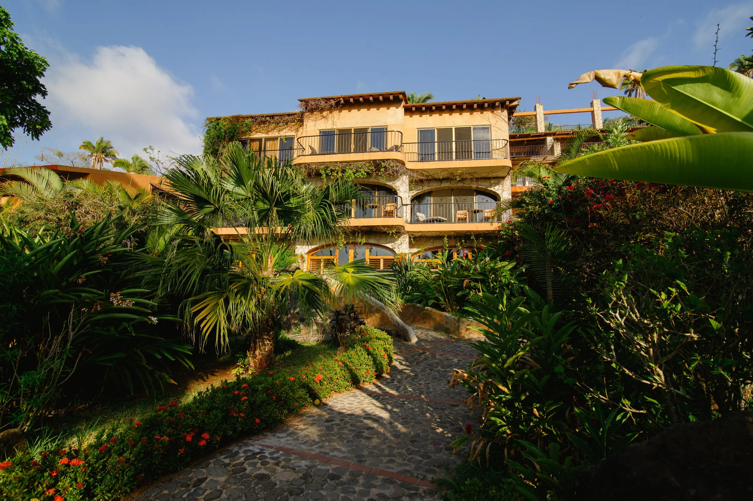 Ashtanga Retreat Mexico Yoga Chicago Mysore