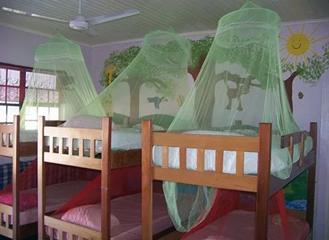 Children's beds with green mosquito nets in a colorful, decorated bedroom with a sun and tree mural on the wall.