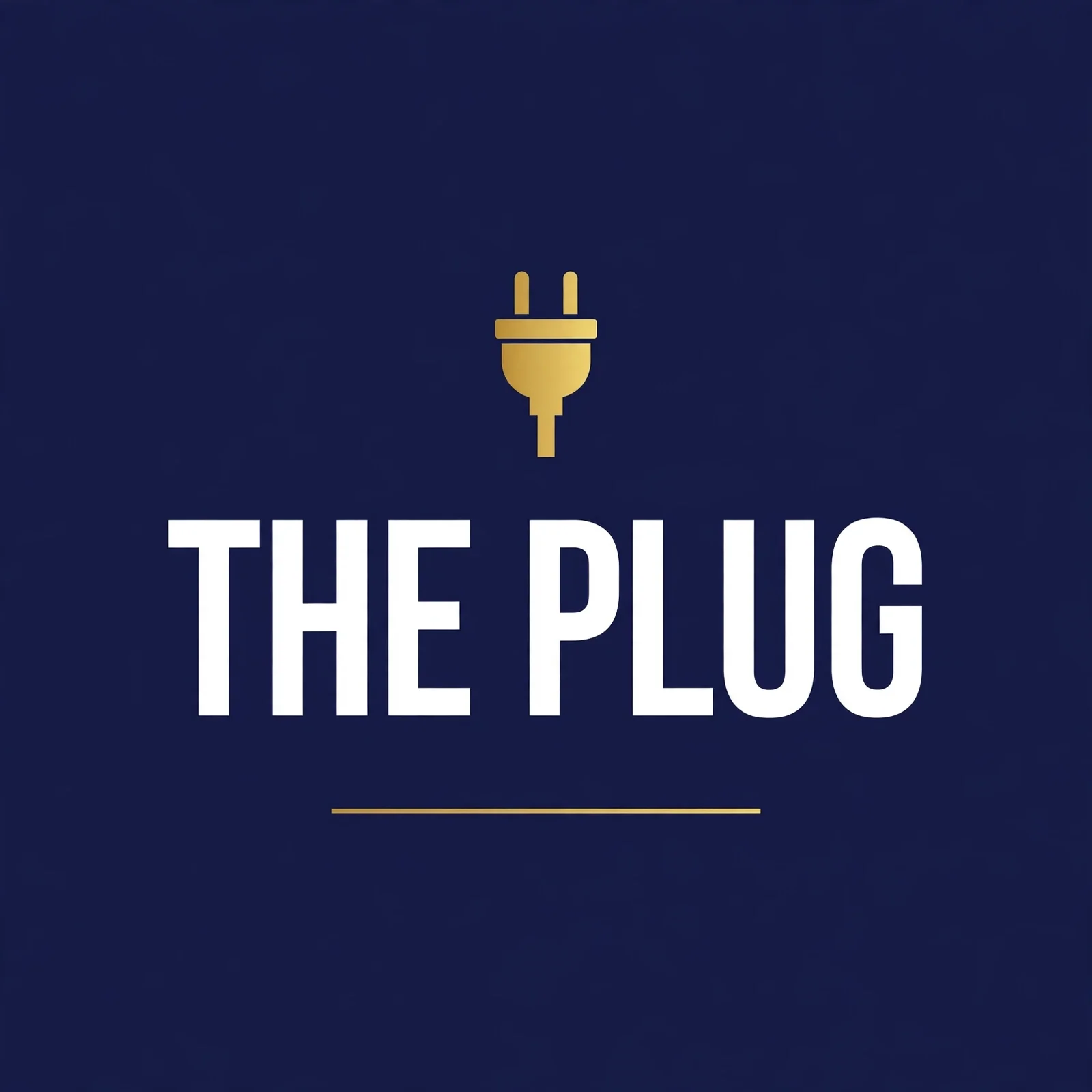 The Plug