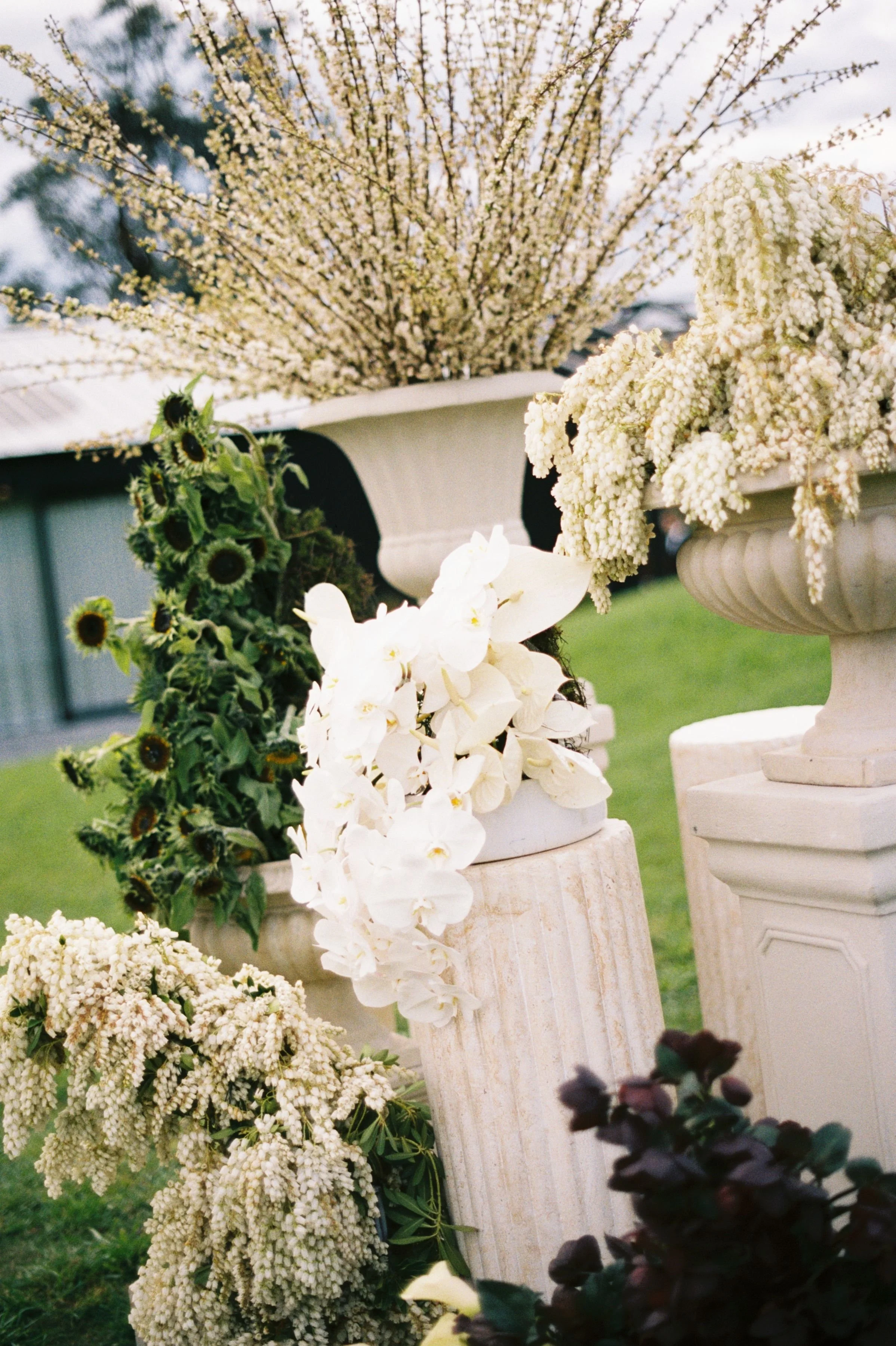 Decorative floral arrangements with white orchids, cream-colored flowers, and greenery displayed in large white urns and pedestals on a grassy outdoor area.