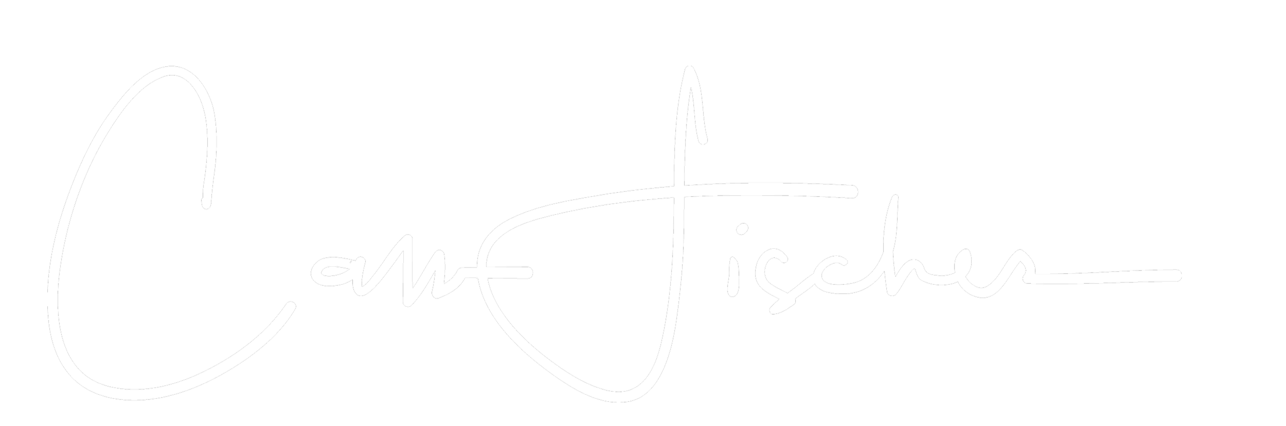 Signature of the artist or designer, Christina Tischer, in white on a black background.