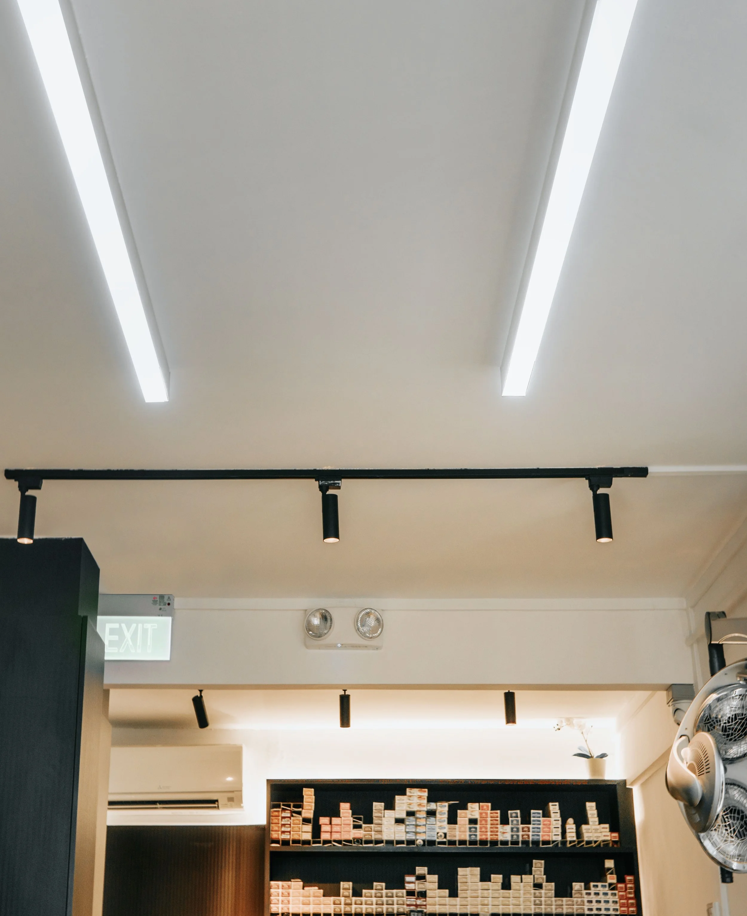 Ceiling with fluorescent and track lighting in a retail store, with shelves filled with canned goods